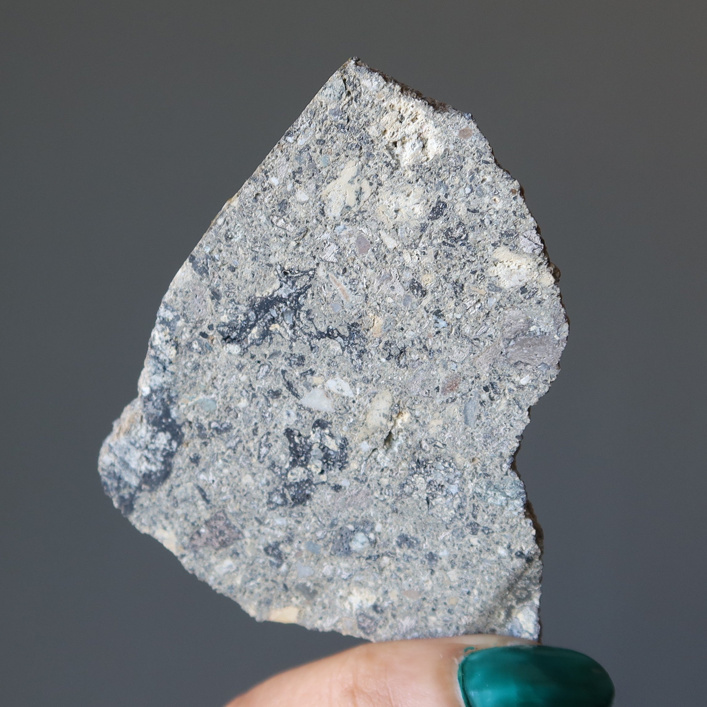 Nordlinger Ries Crater Impactite Slice of Space