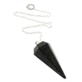 Nuummite Pendulum Mysteries Sterling Silver crystal Pendulum for dowsing, healing, and chakra assessment