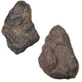 Paires de météorites chondrites NWA Pierres cosmiques