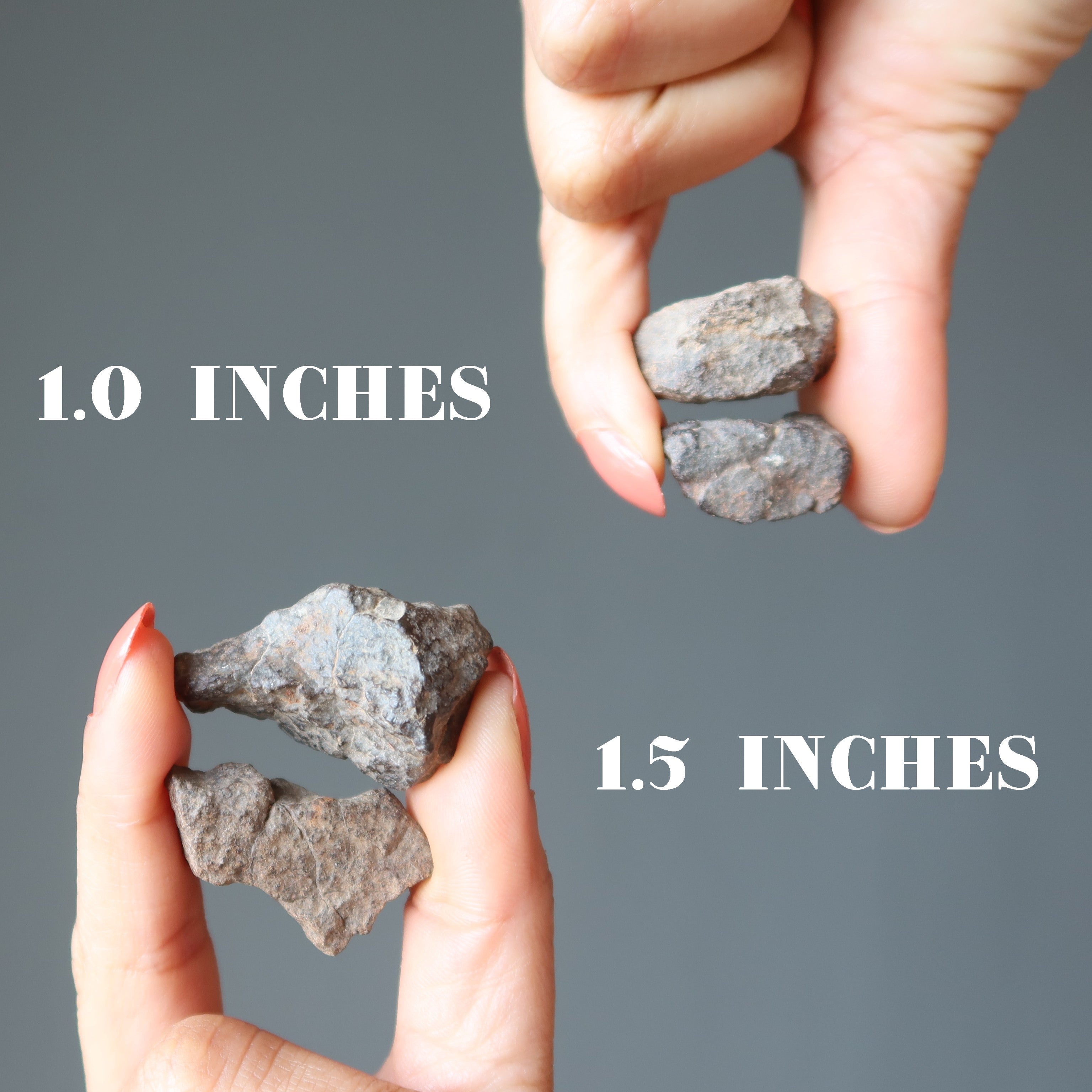 Paires de météorites chondrites NWA Pierres cosmiques