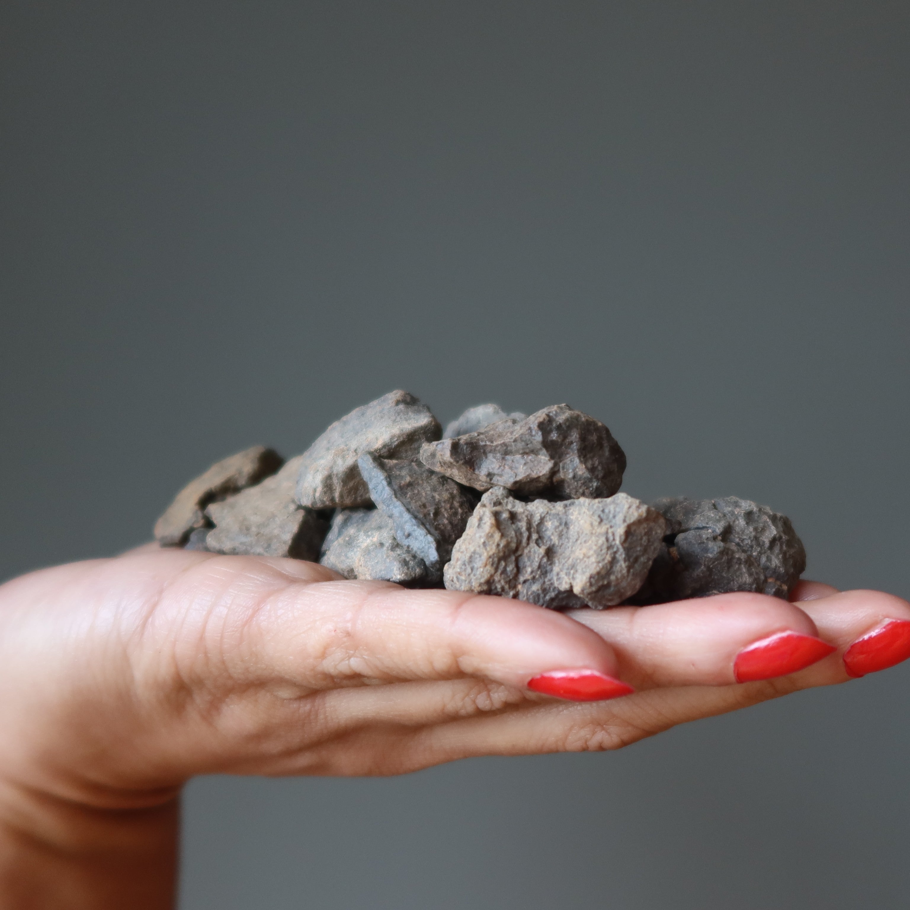 Paires de météorites chondrites NWA Pierres cosmiques