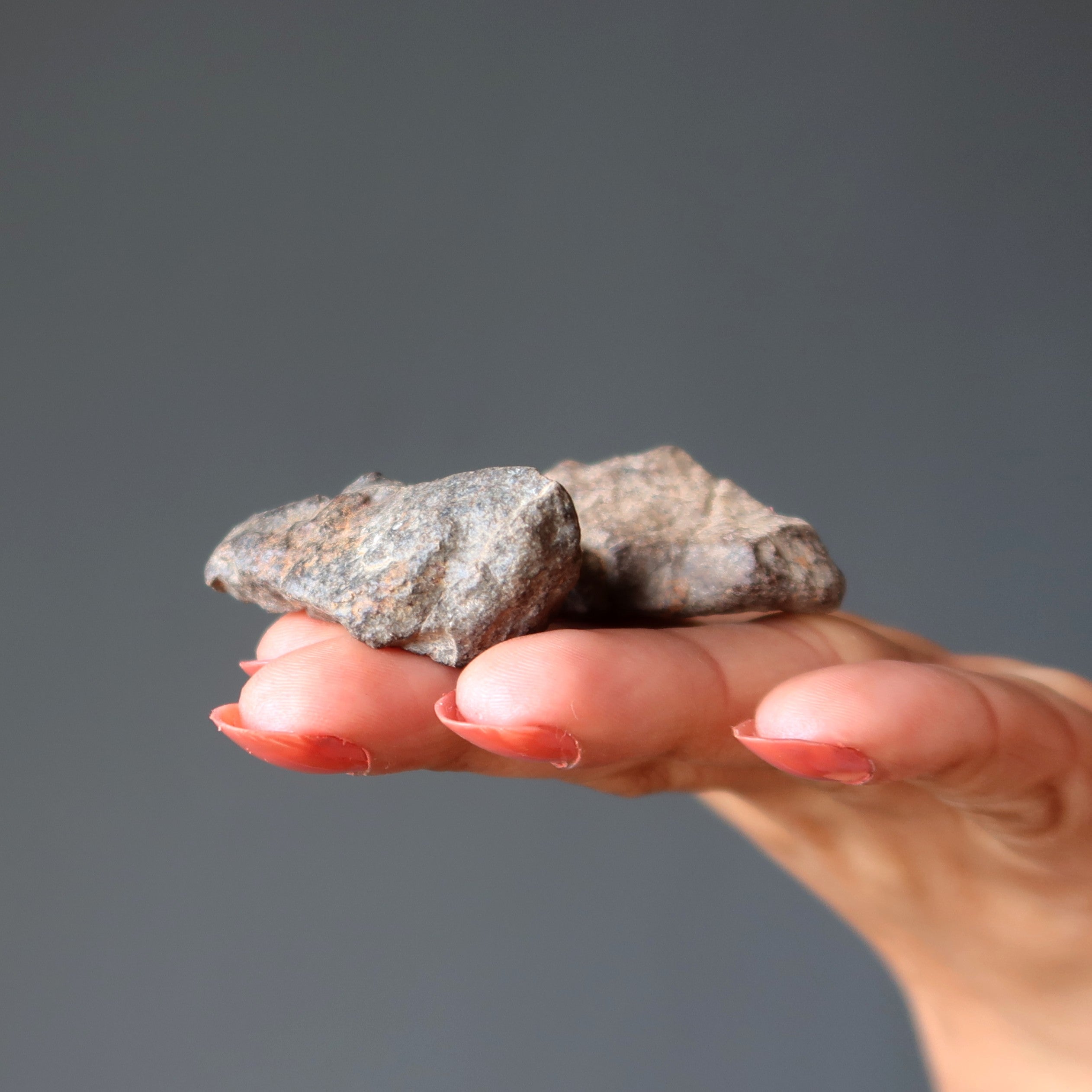 Paires de météorites chondrites NWA Pierres cosmiques