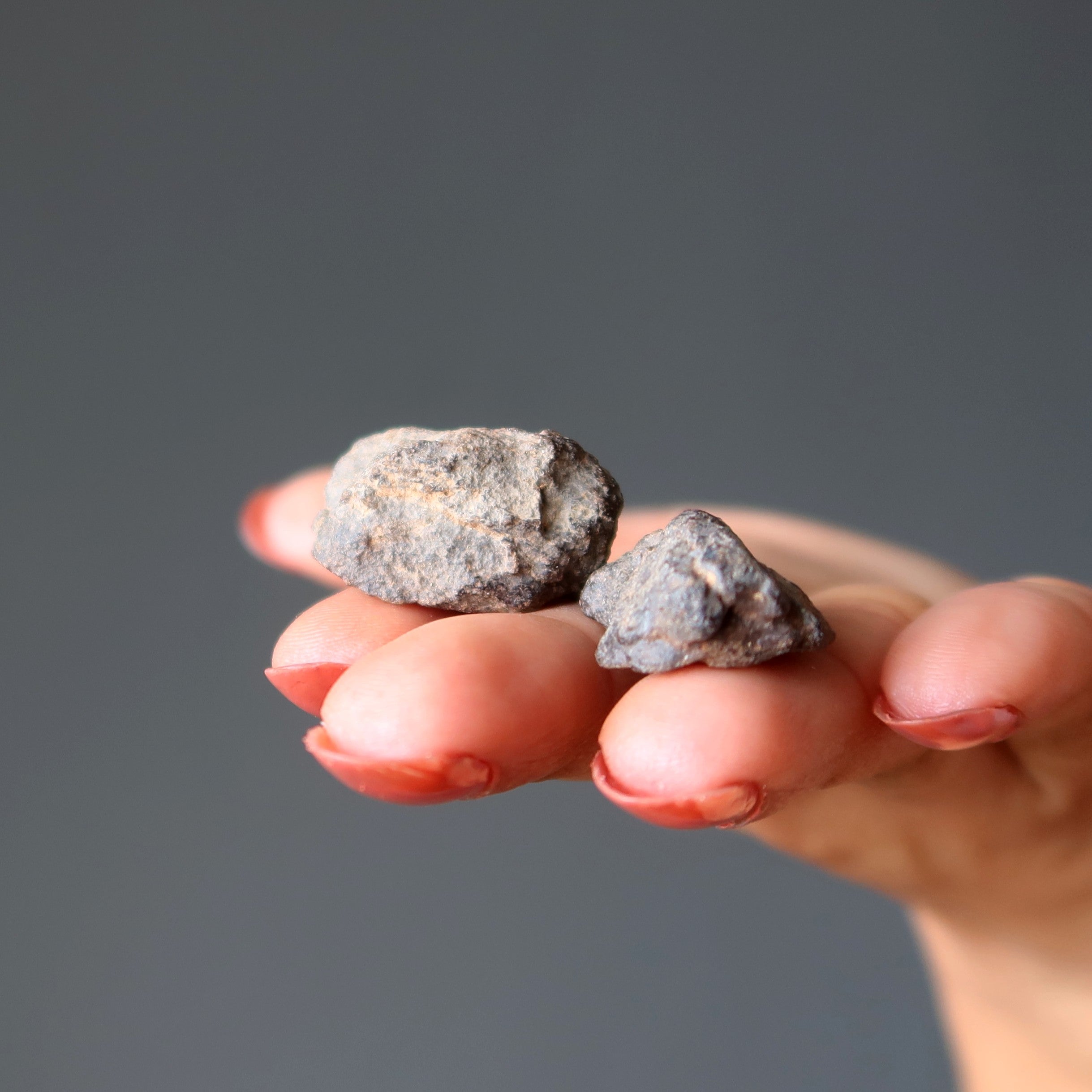 Paires de météorites chondrites NWA Pierres cosmiques