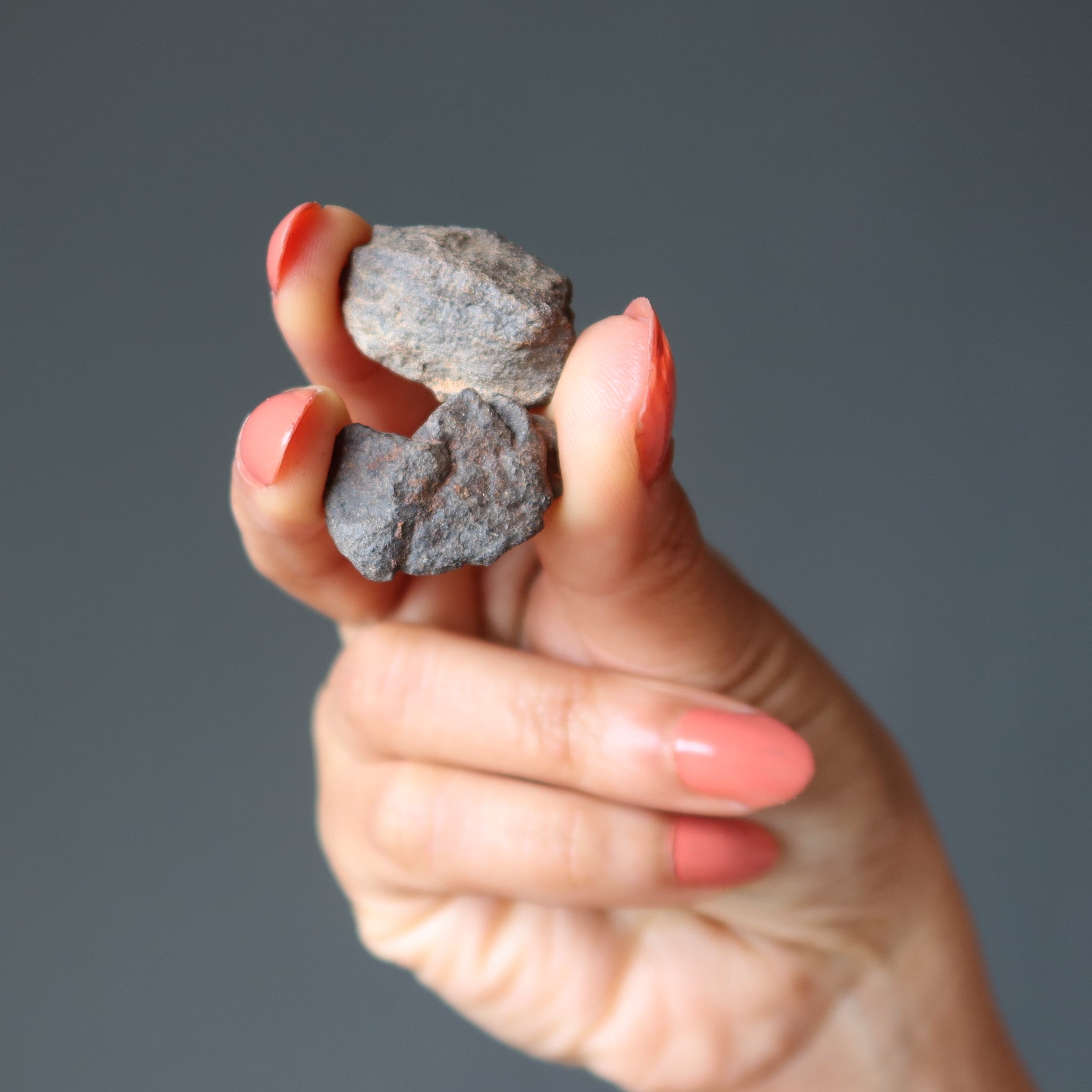 Paires de météorites chondrites NWA Pierres cosmiques