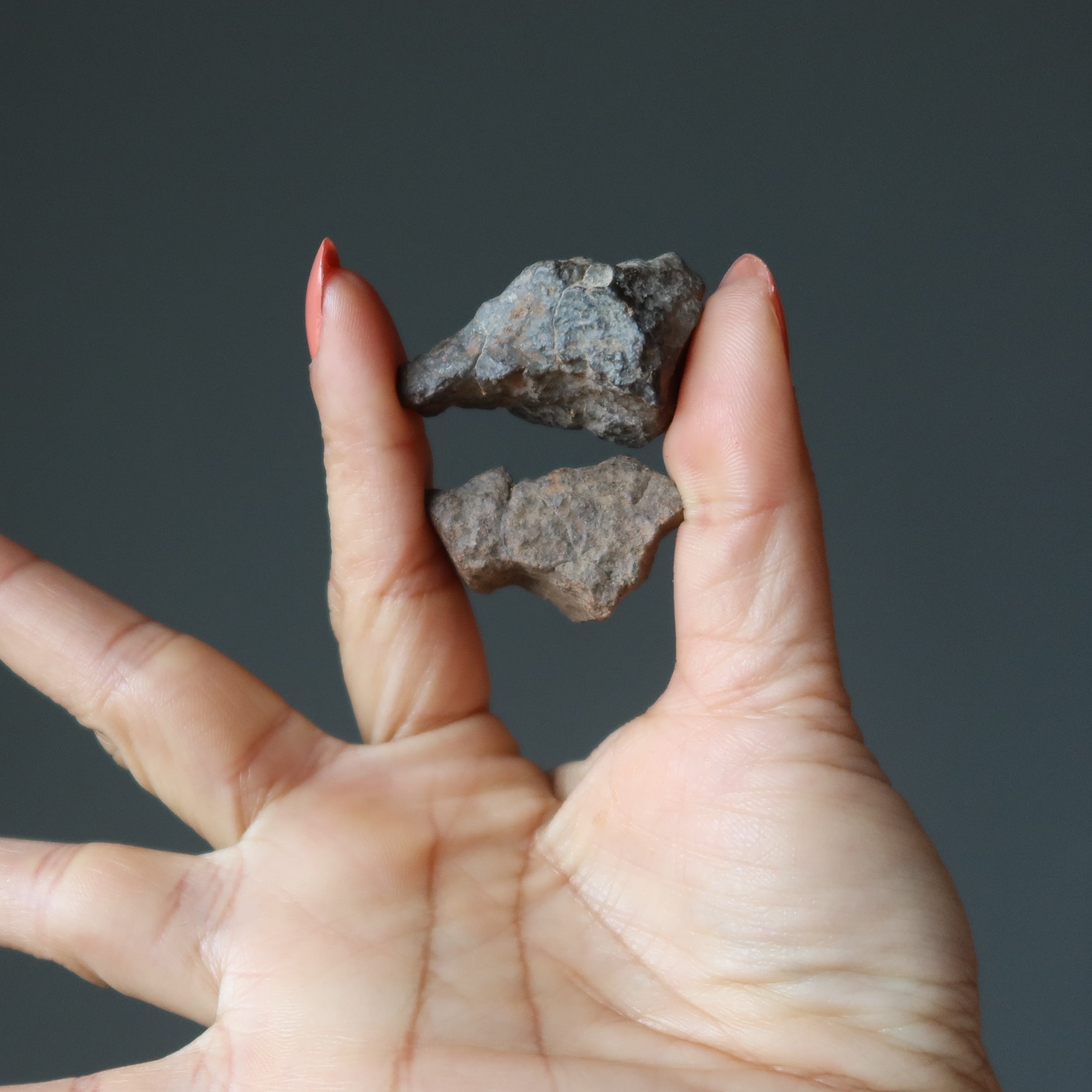 Paires de météorites chondrites NWA Pierres cosmiques
