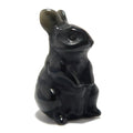 Schwarzer Obsidian-Hase Entzückender Beschützer-Hase