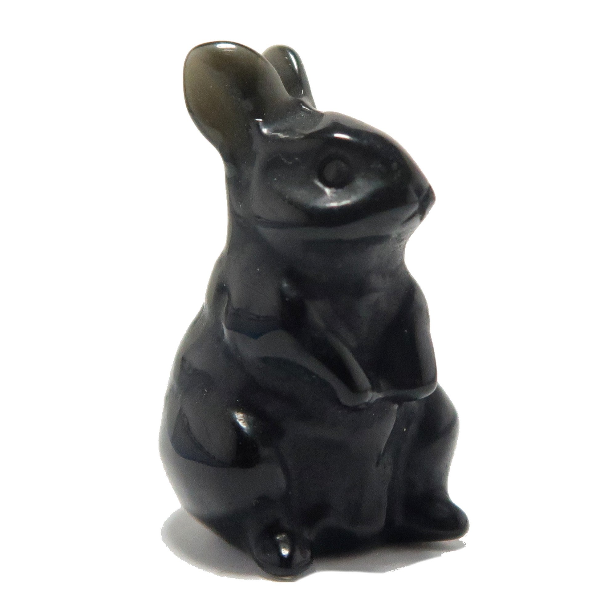 Schwarzer Obsidian-Hase Entzückender Beschützer-Hase