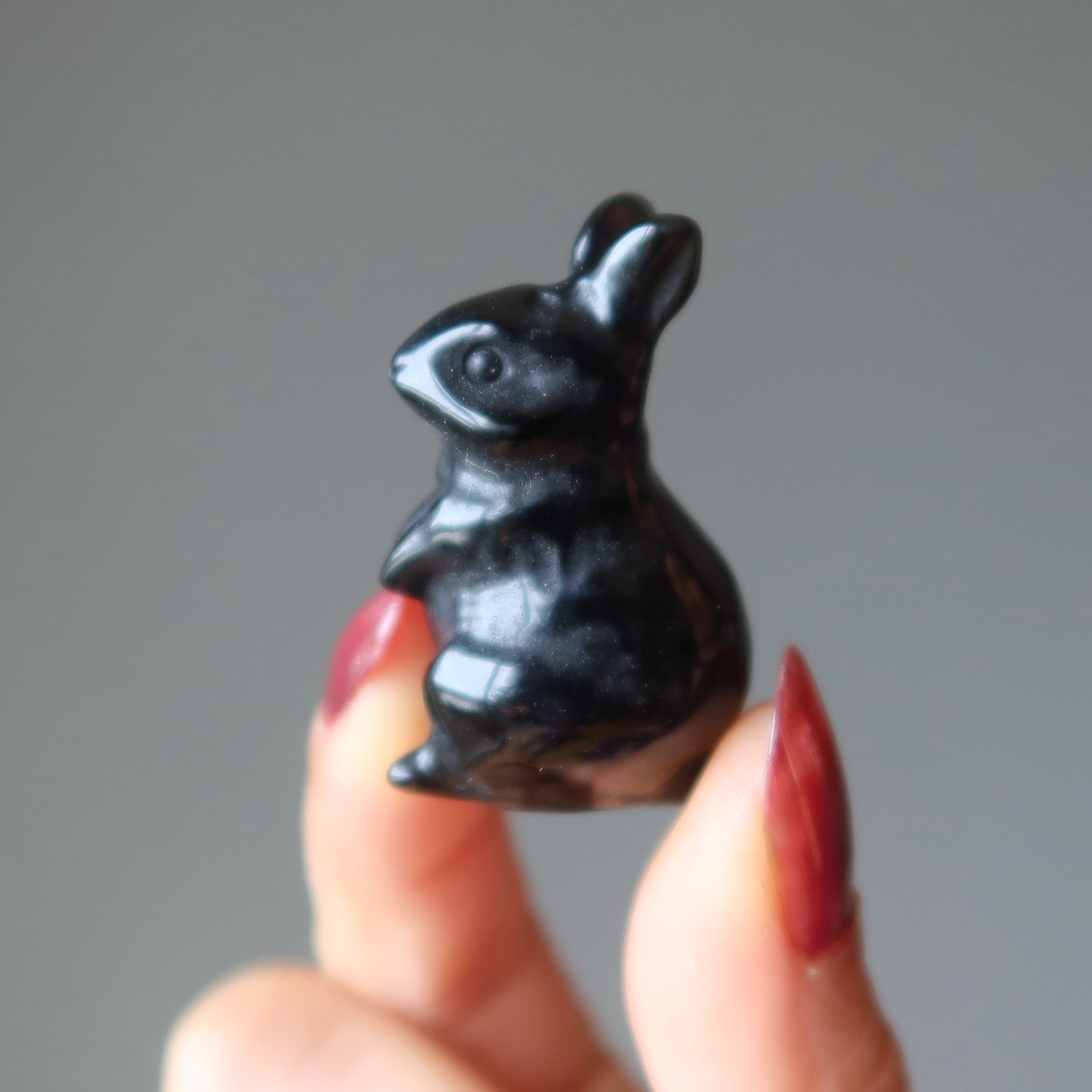 Schwarzer Obsidian-Hase Entzückender Beschützer-Hase