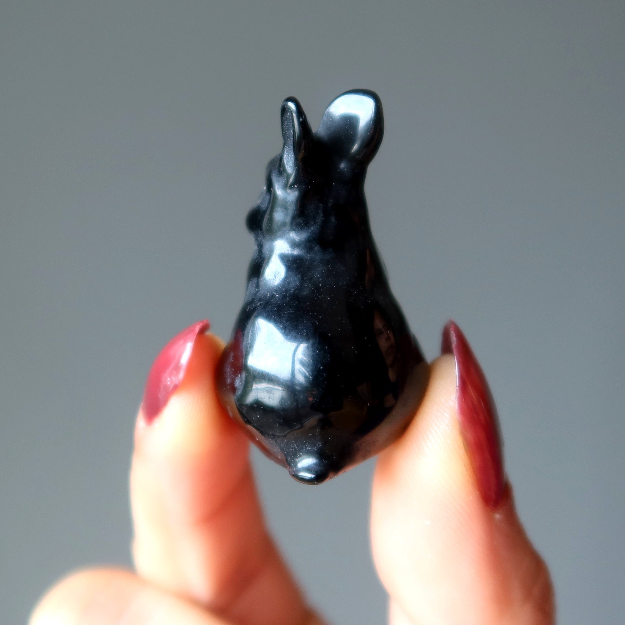 Schwarzer Obsidian-Hase Entzückender Beschützer-Hase