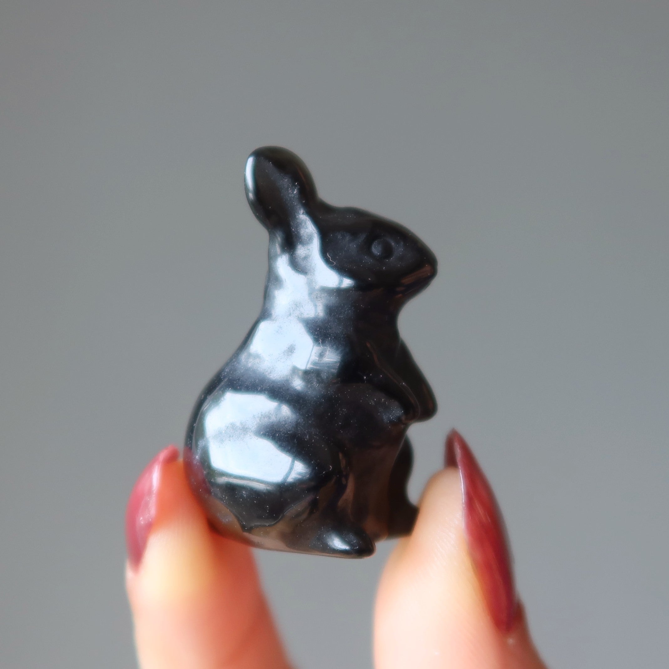 Schwarzer Obsidian-Hase Entzückender Beschützer-Hase