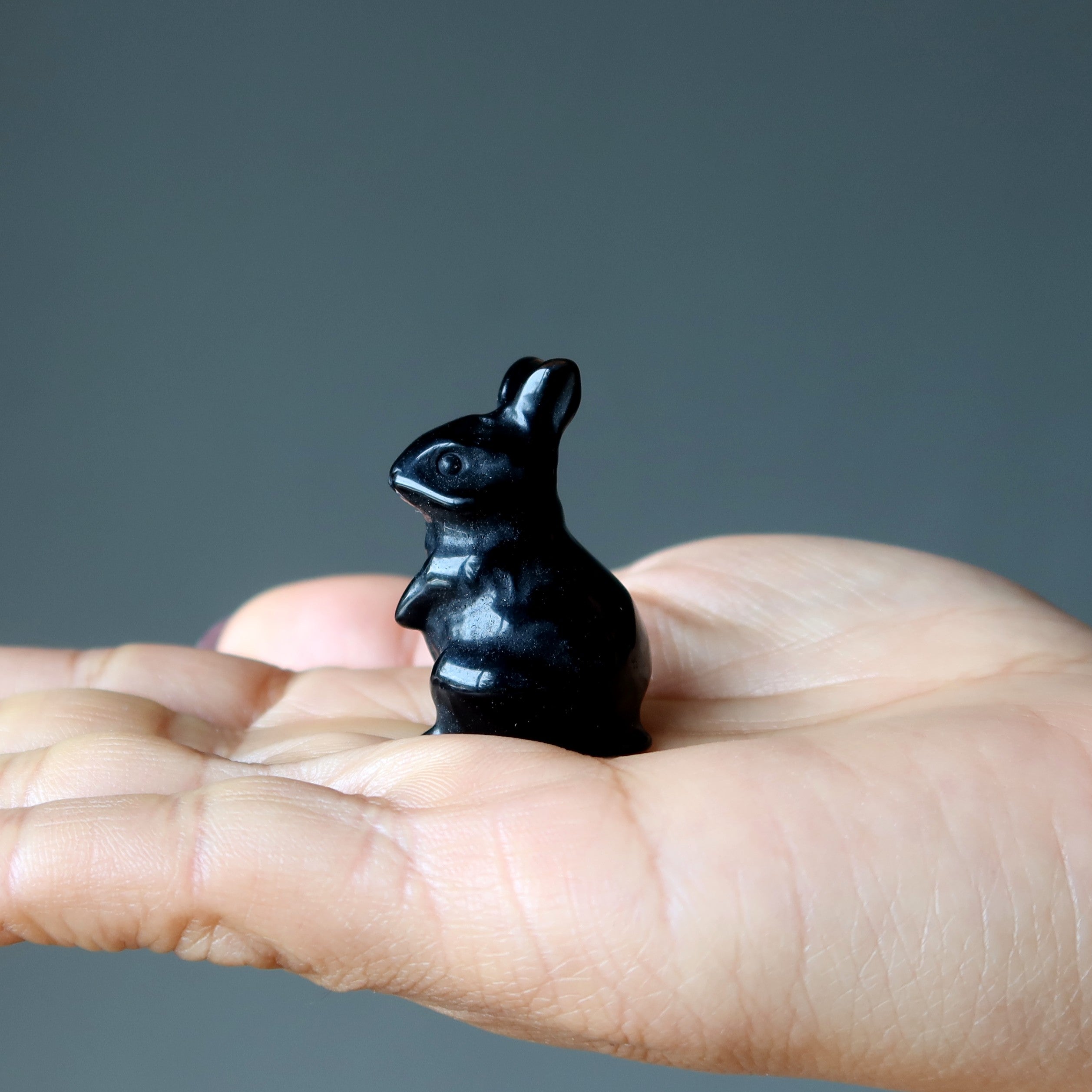 Schwarzer Obsidian-Hase Entzückender Beschützer-Hase