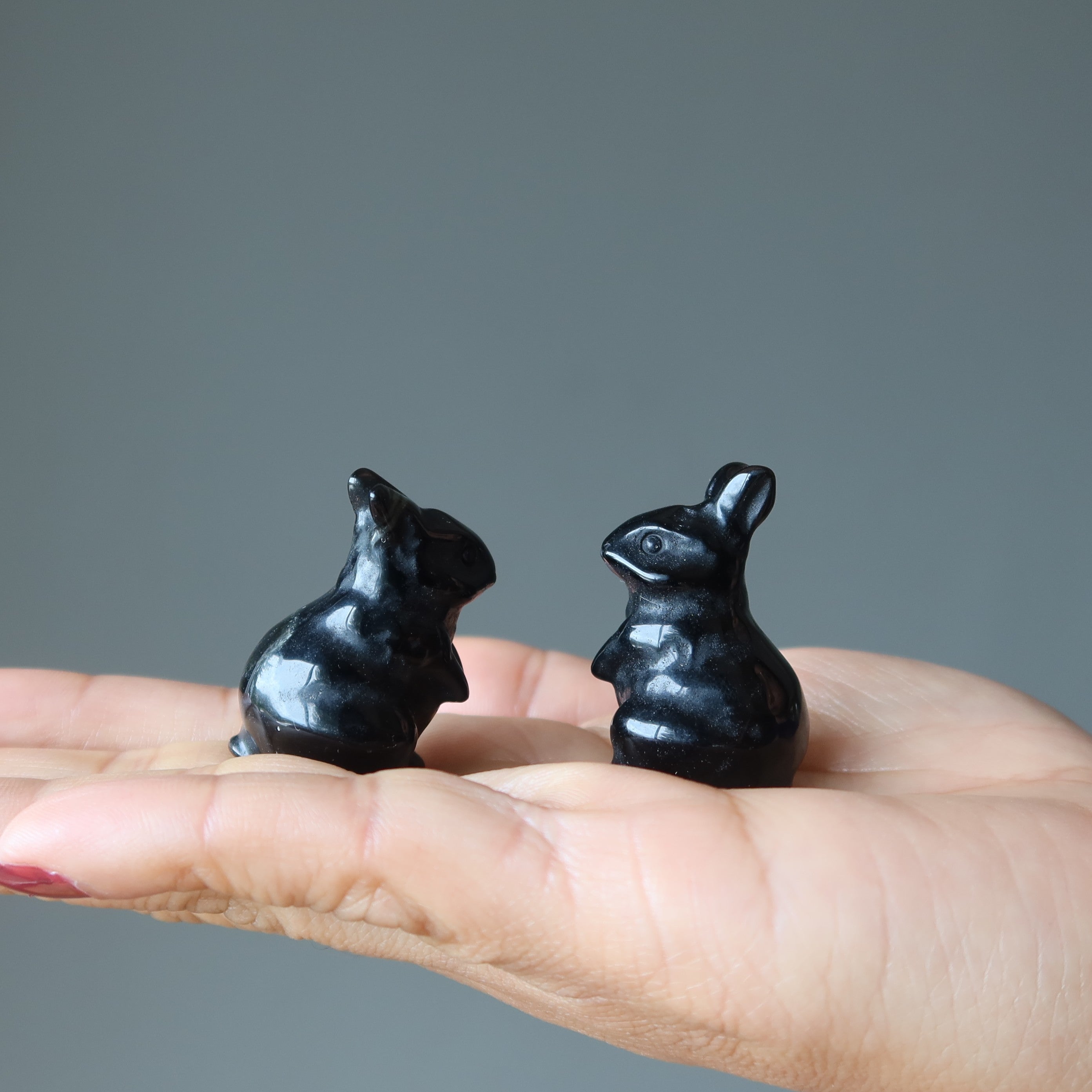 Schwarzer Obsidian-Hase Entzückender Beschützer-Hase