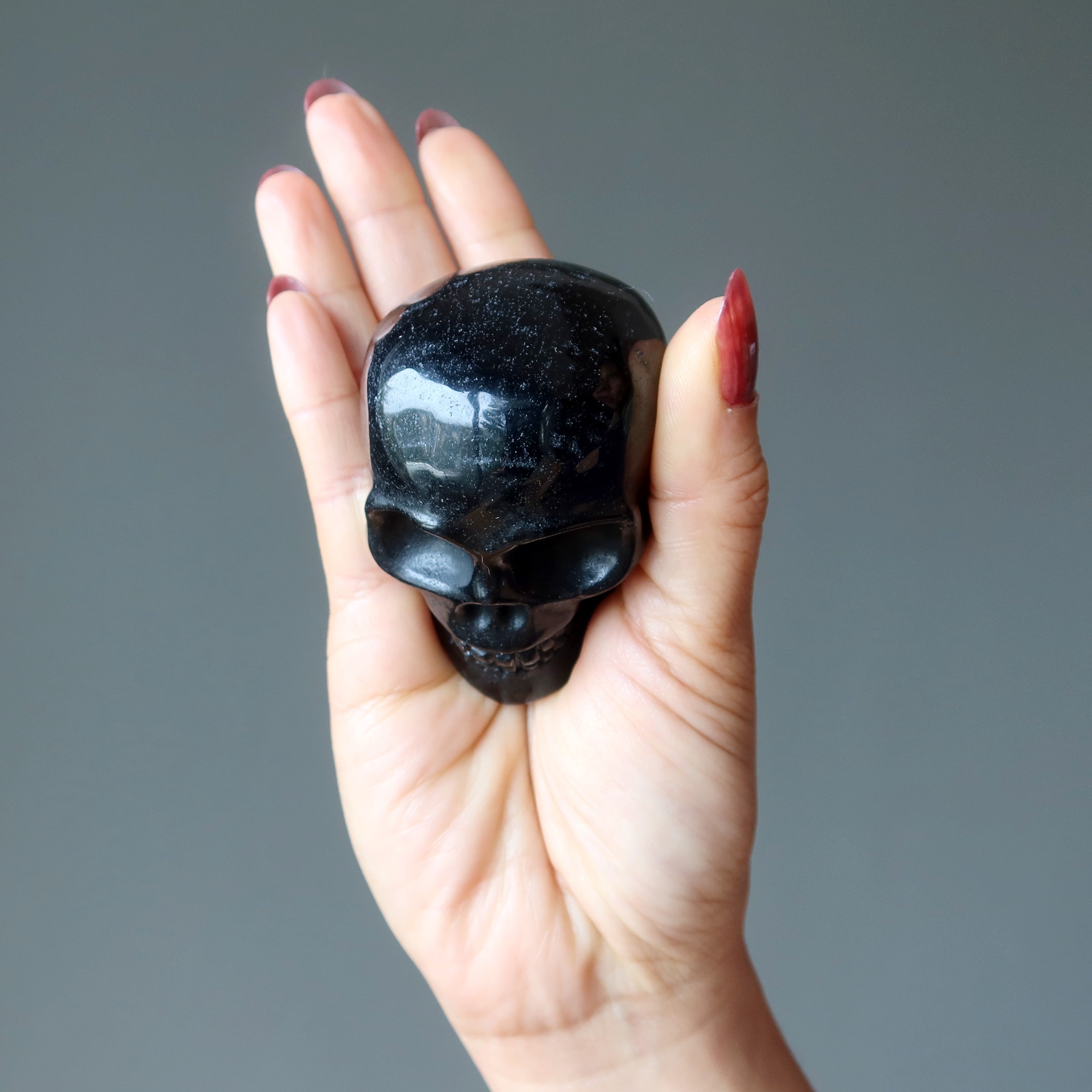 Crâne en Obsidienne Noire - Cristal de Protection Interdimensionnelle