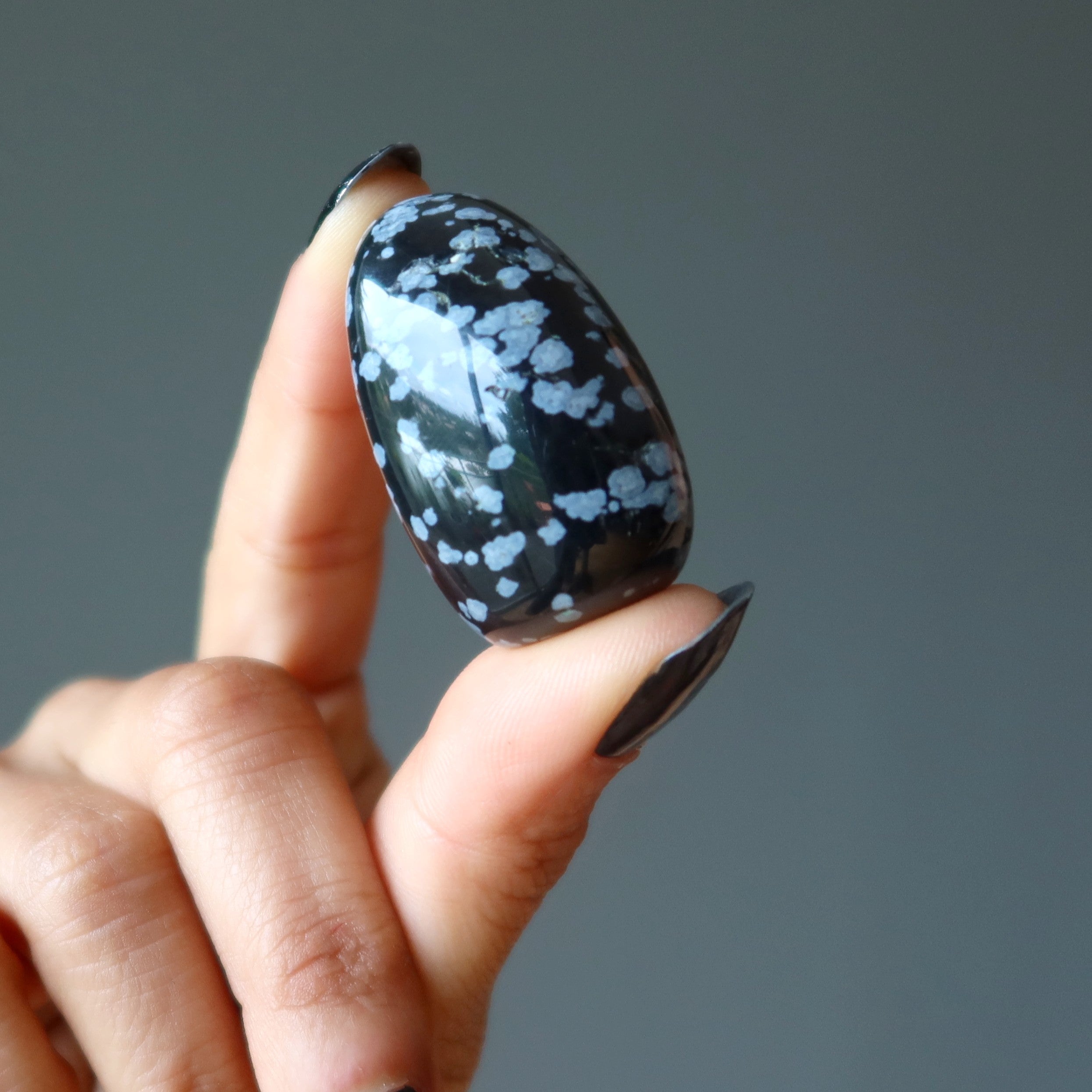 Snowflake Obsidian Tumbled Stone Protection