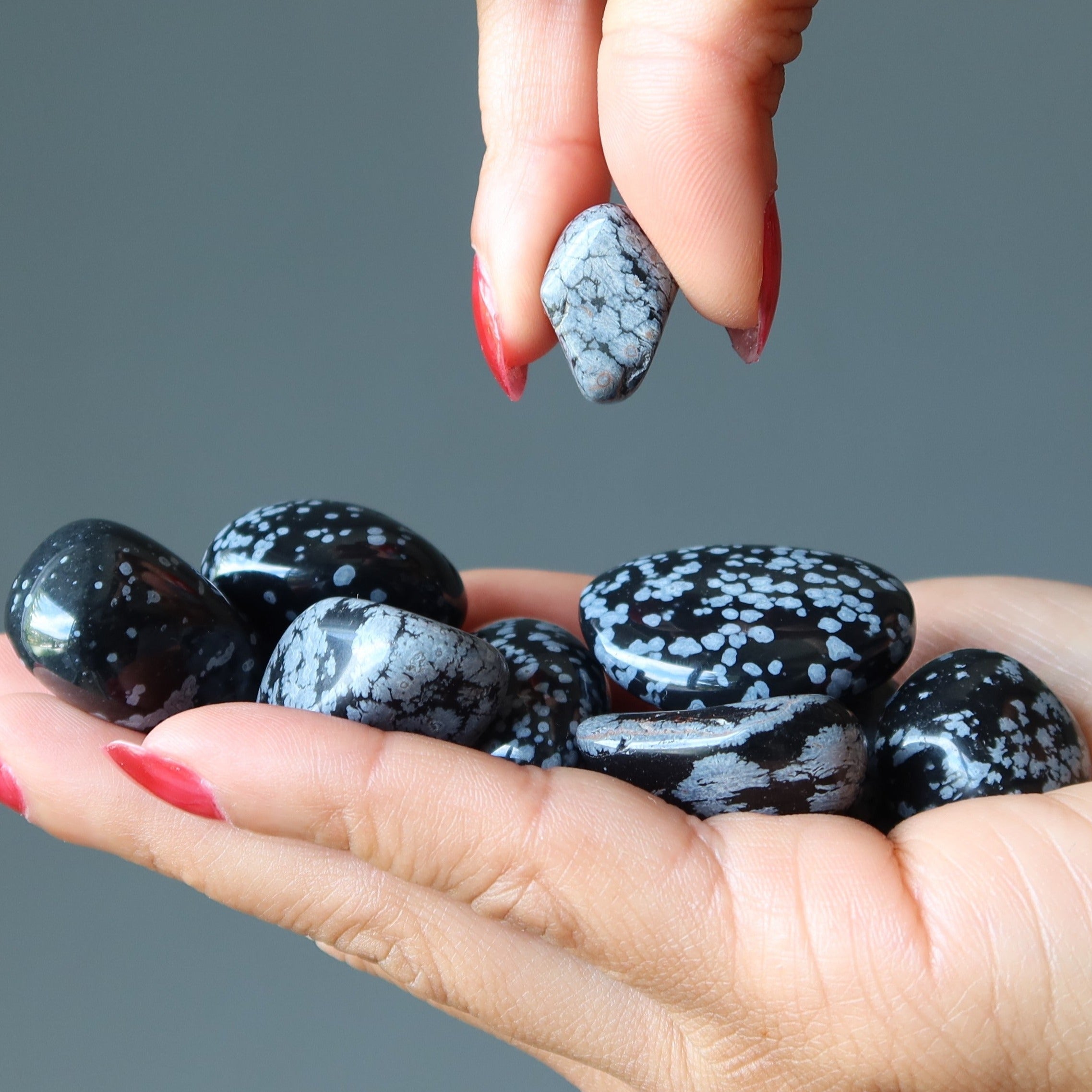 Snowflake Obsidian Tumbled Stone Protection