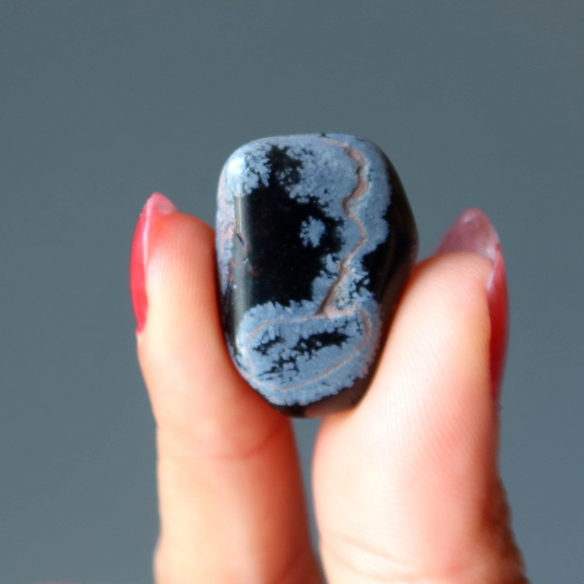 Snowflake Obsidian Tumbled Stone Protection
