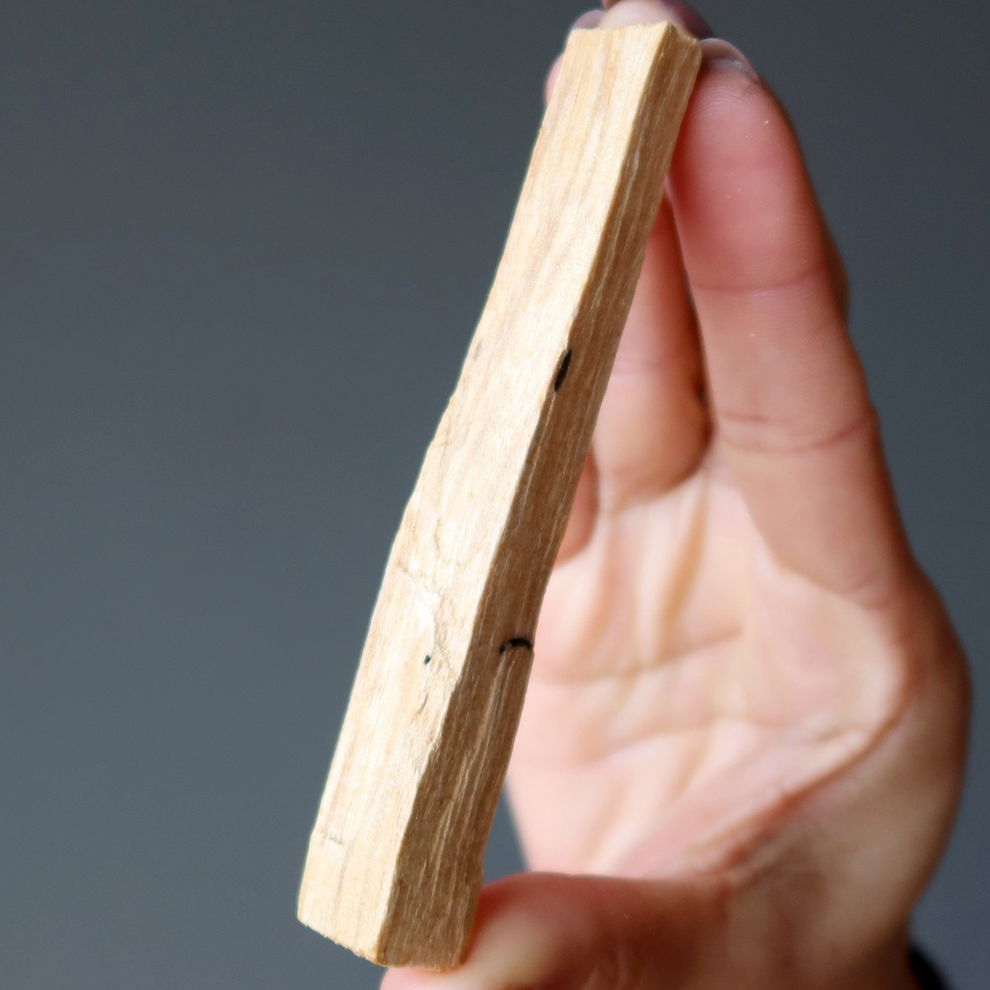 Palo Santo Wood Cleansing Stick