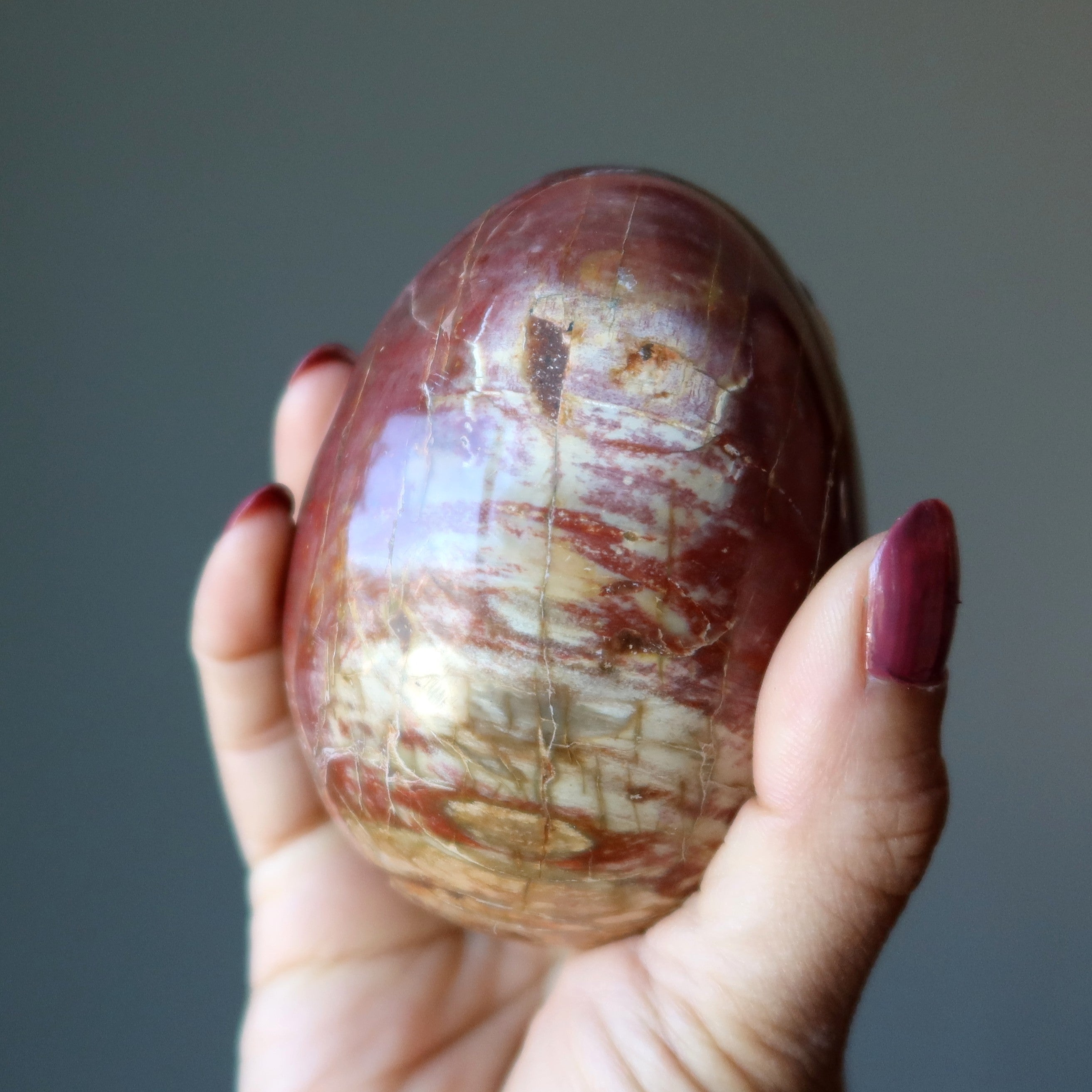 Petrified Wood Egg Timeless Strength Earth Energy Crystal