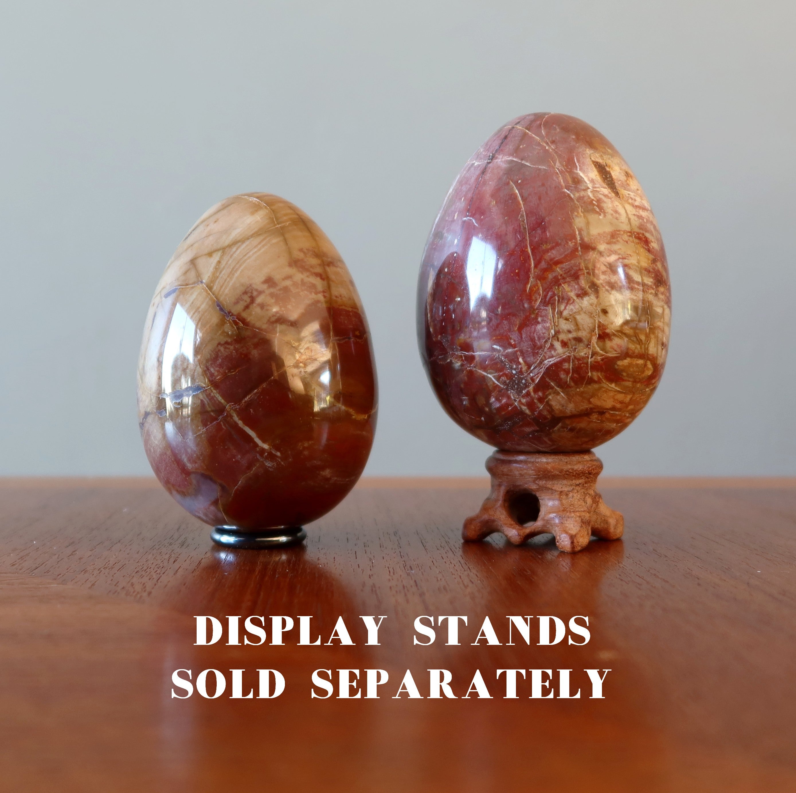 Petrified Wood Egg Timeless Strength Earth Energy Crystal
