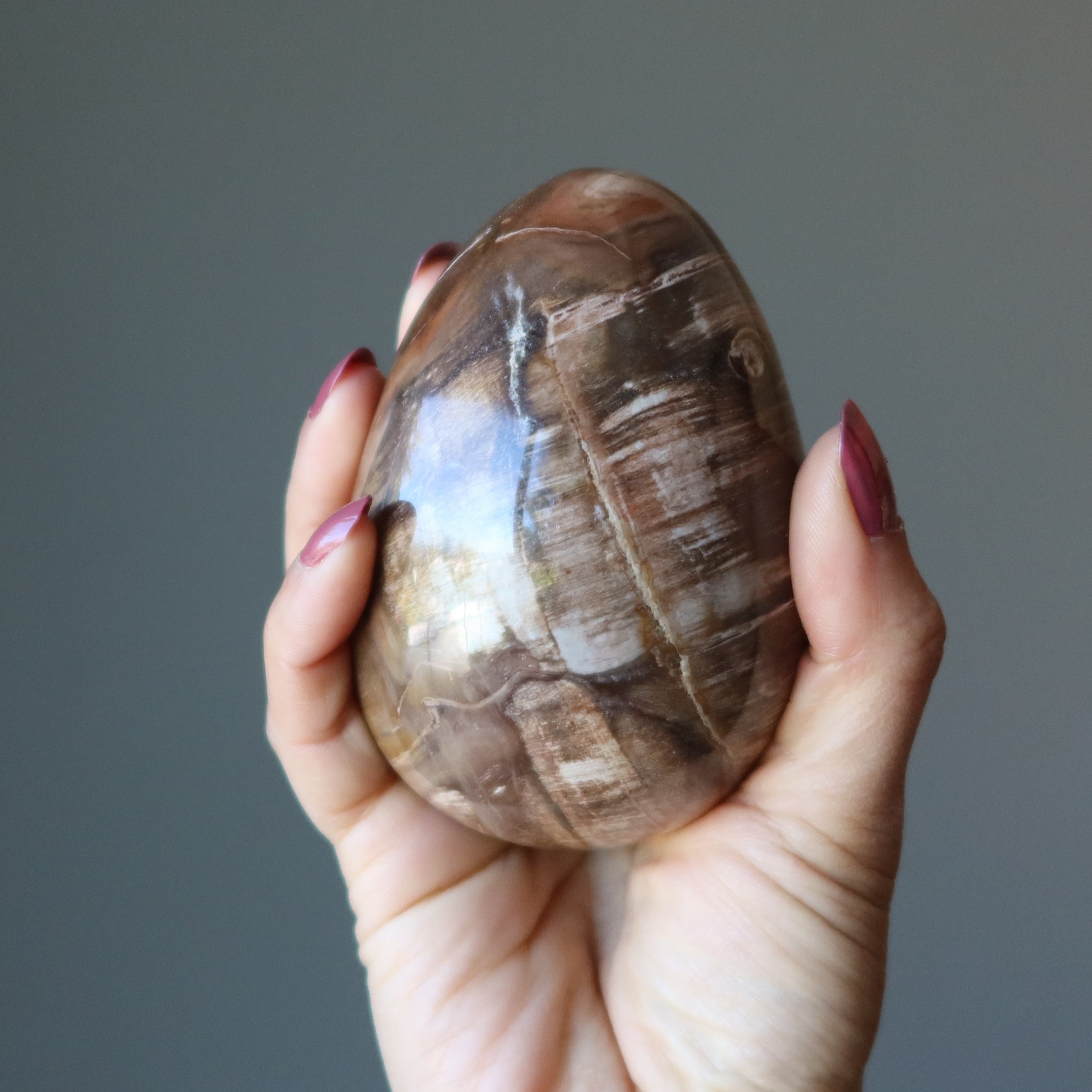 Petrified Wood Egg Timeless Strength Earth Energy Crystal
