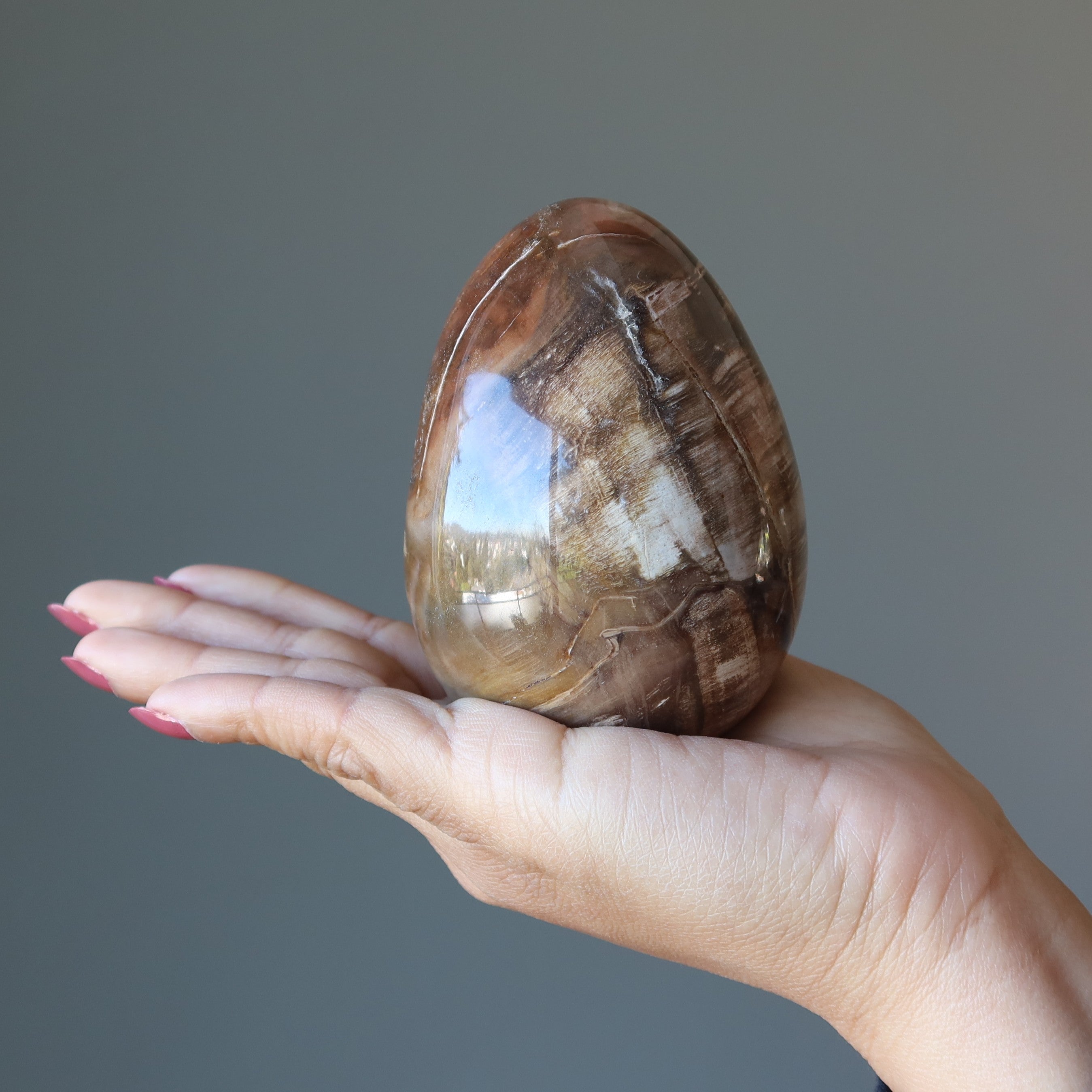 Petrified Wood Egg Timeless Strength Earth Energy Crystal