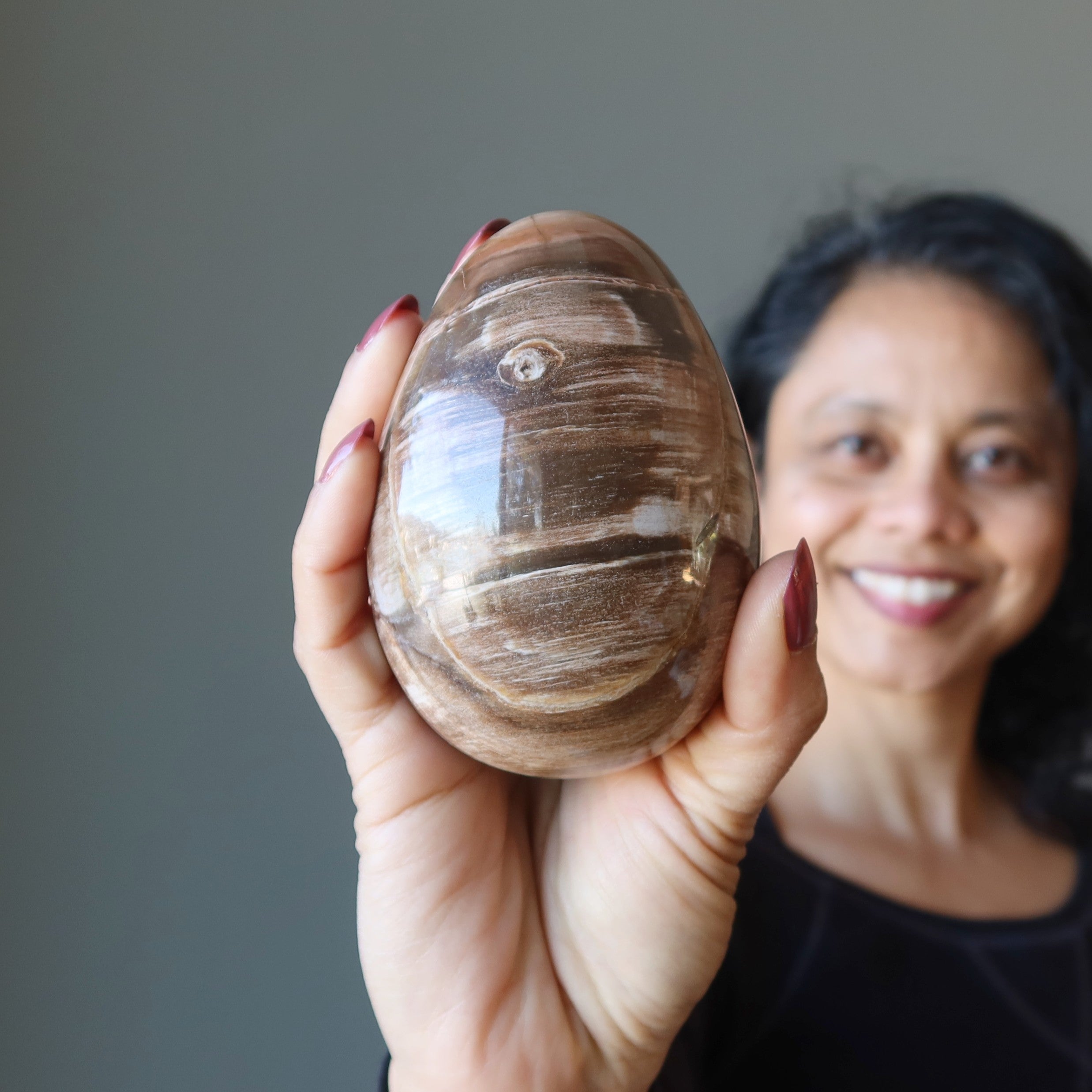Petrified Wood Egg Timeless Strength Earth Energy Crystal