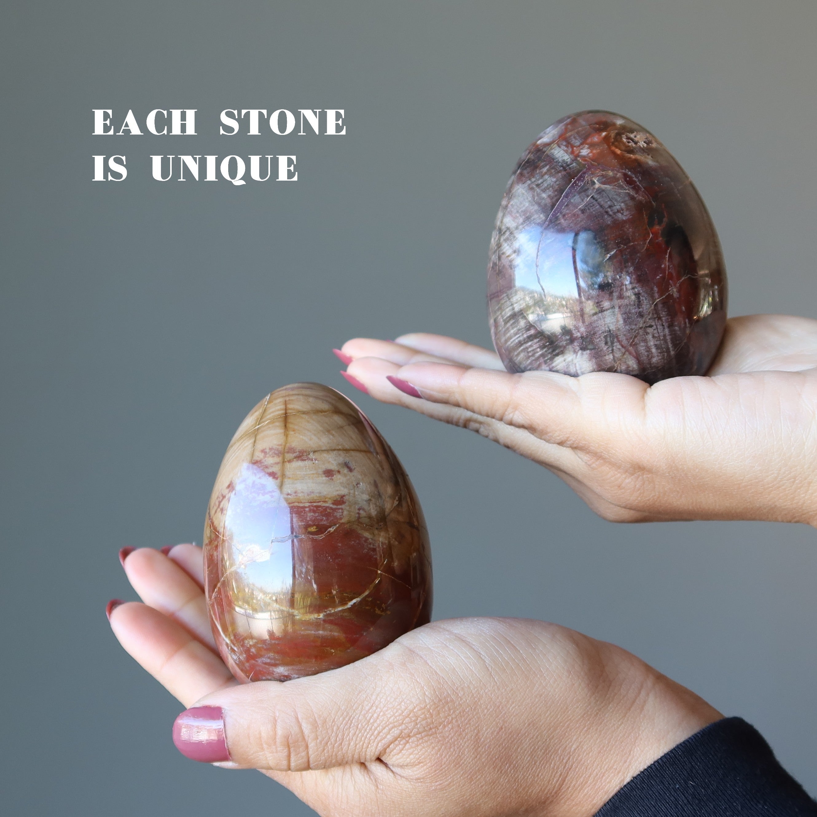 Petrified Wood Egg Timeless Strength Earth Energy Crystal