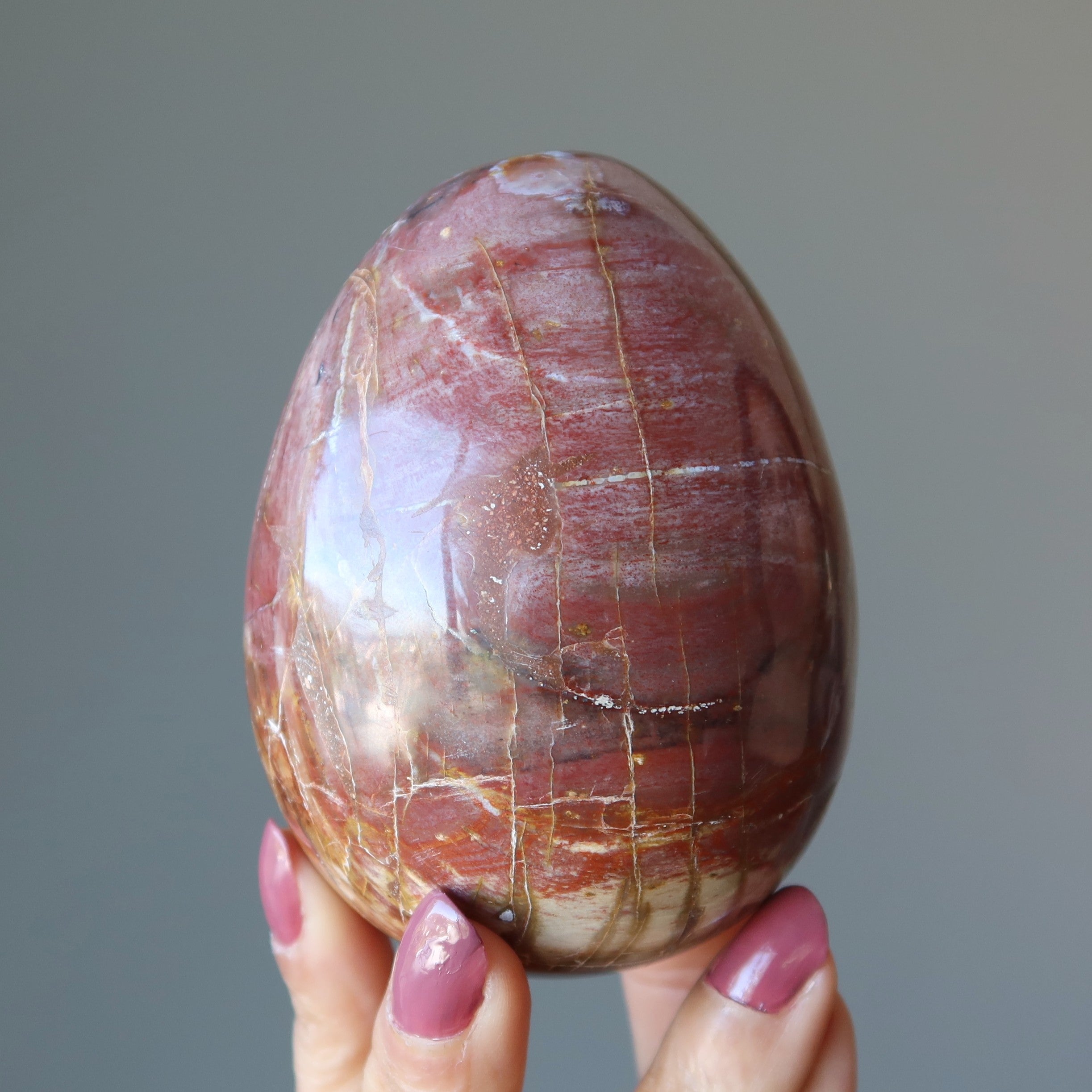 Petrified Wood Egg Timeless Strength Earth Energy Crystal