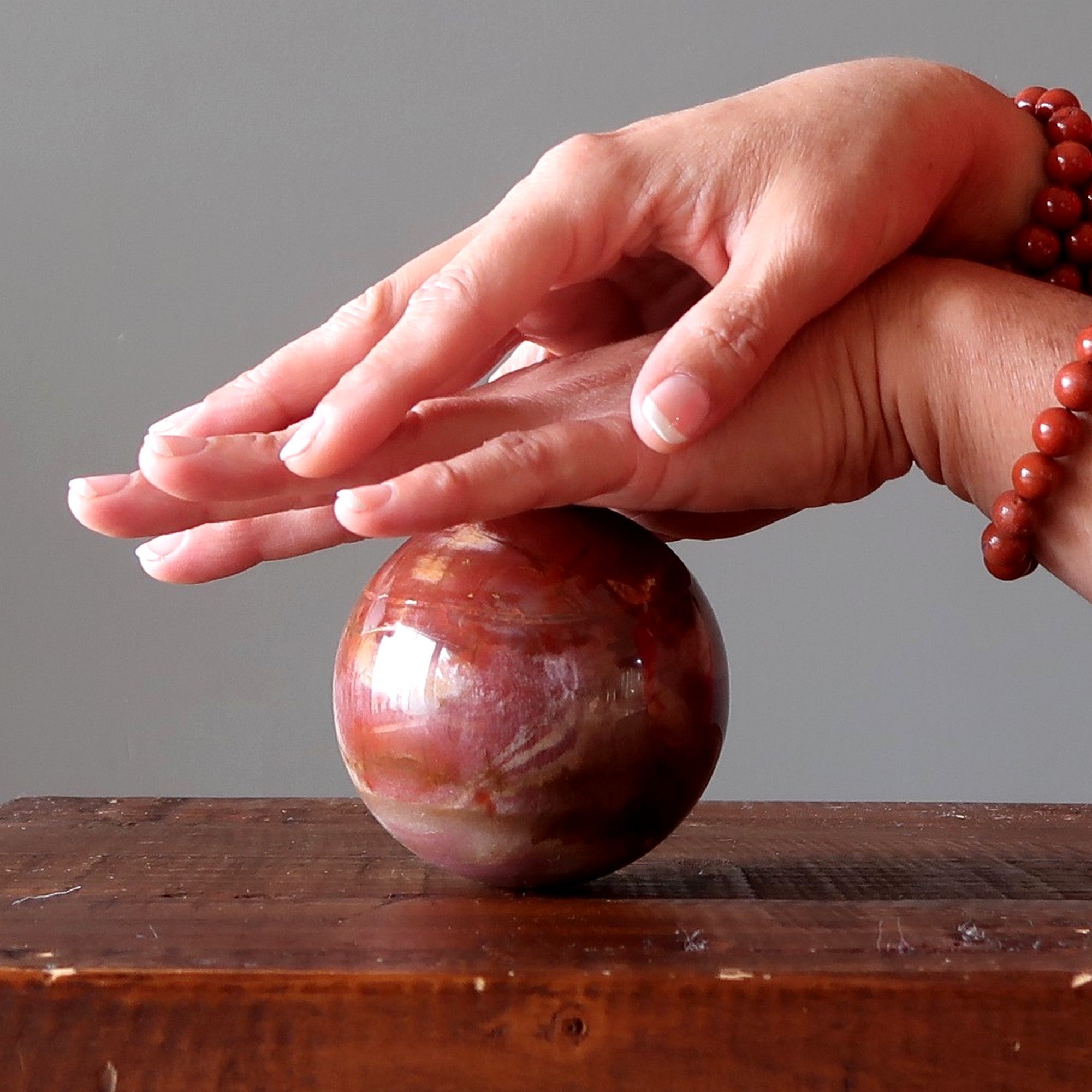 Petrified Wood Sphere Swirl of Color Earth Fossil Crystal Ball