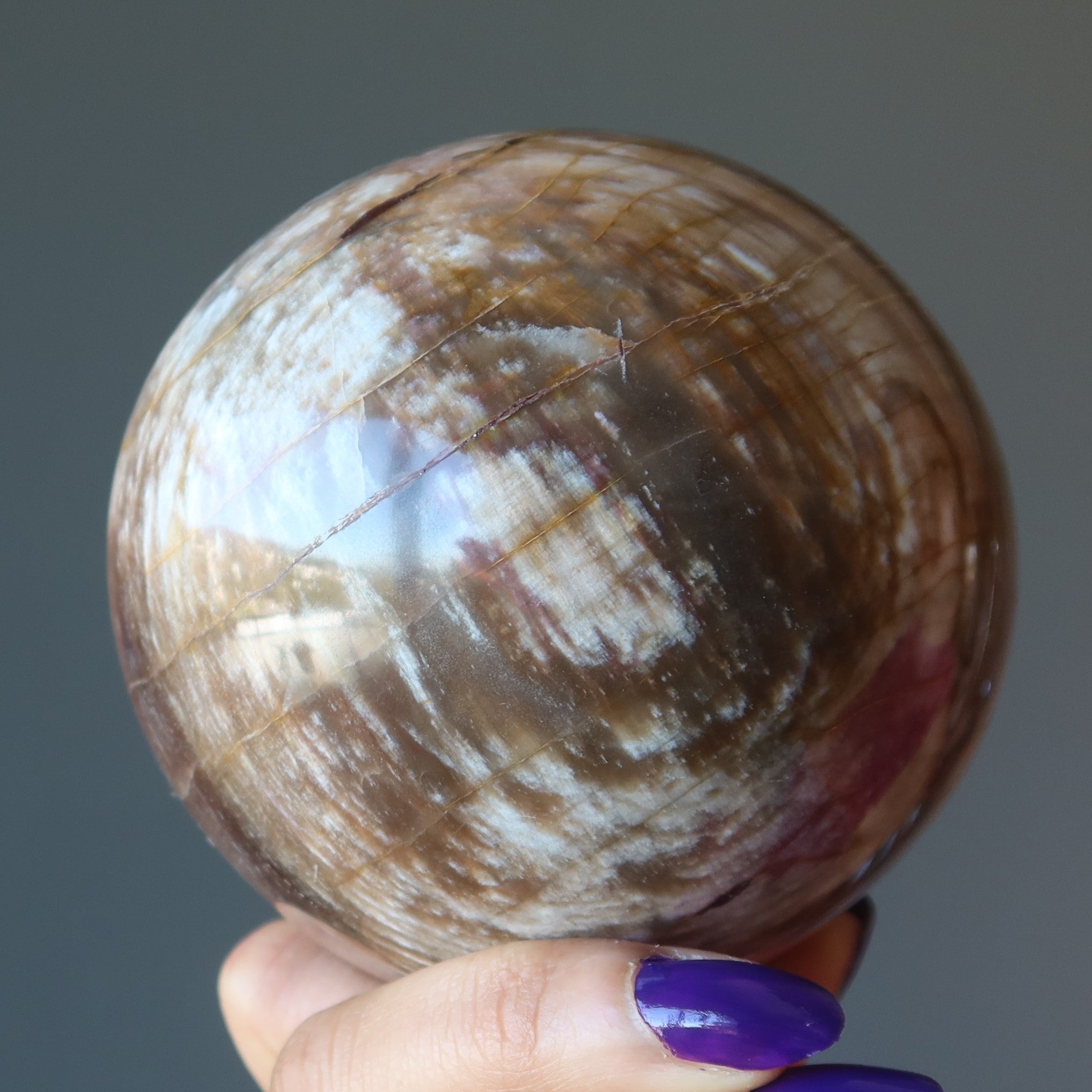 Petrified Wood Sphere Swirl of Color Earth Fossil Crystal Ball