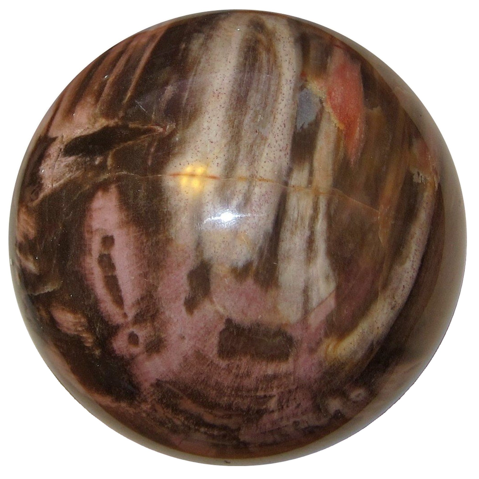 Petrified Wood Sphere Swirl of Color Earth Fossil Crystal Ball