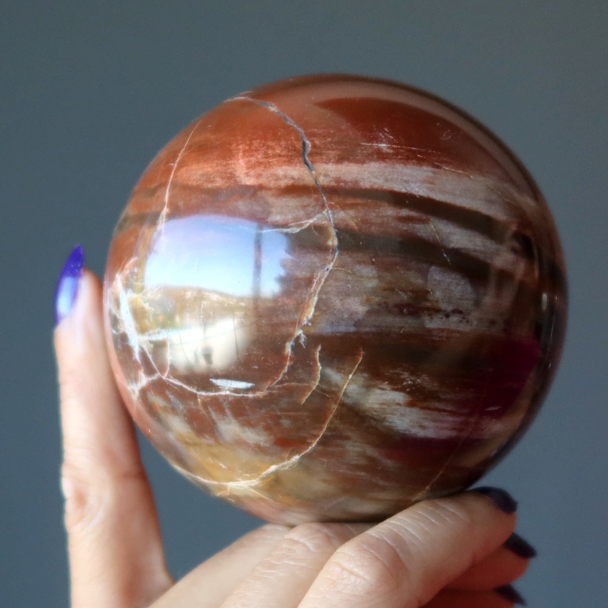 Petrified Wood Sphere Swirl of Color Earth Fossil Crystal Ball