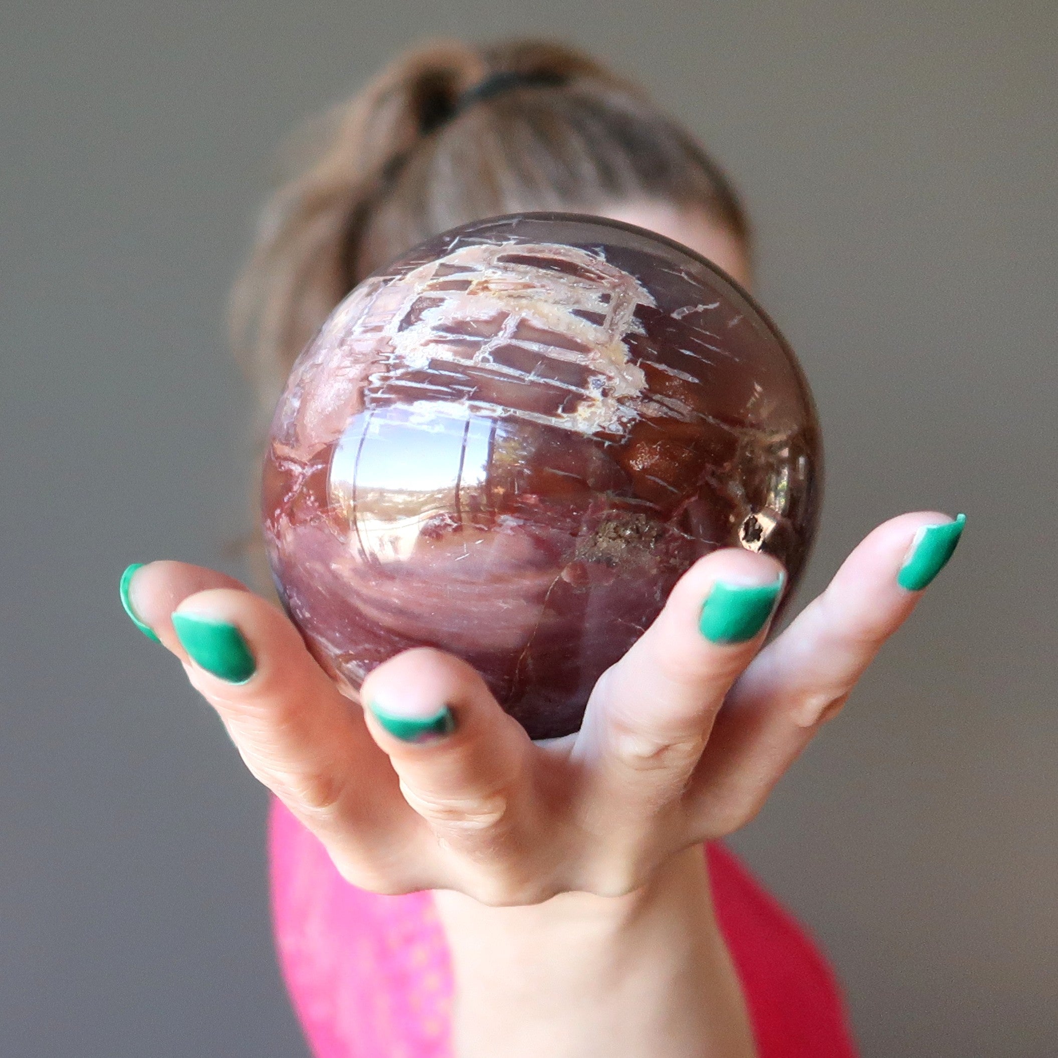 Petrified Wood Sphere Swirl of Color Earth Fossil Crystal Ball