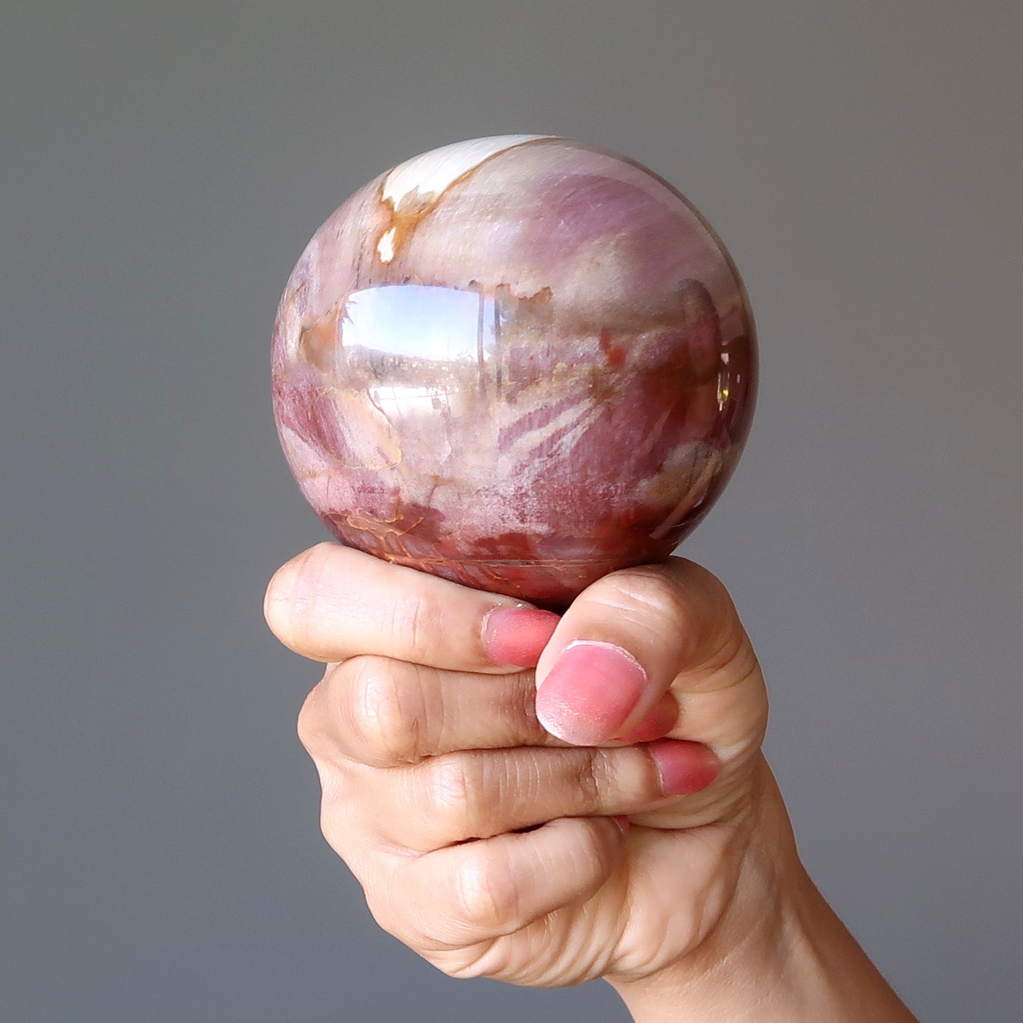 Petrified Wood Sphere Swirl of Color Earth Fossil Crystal Ball