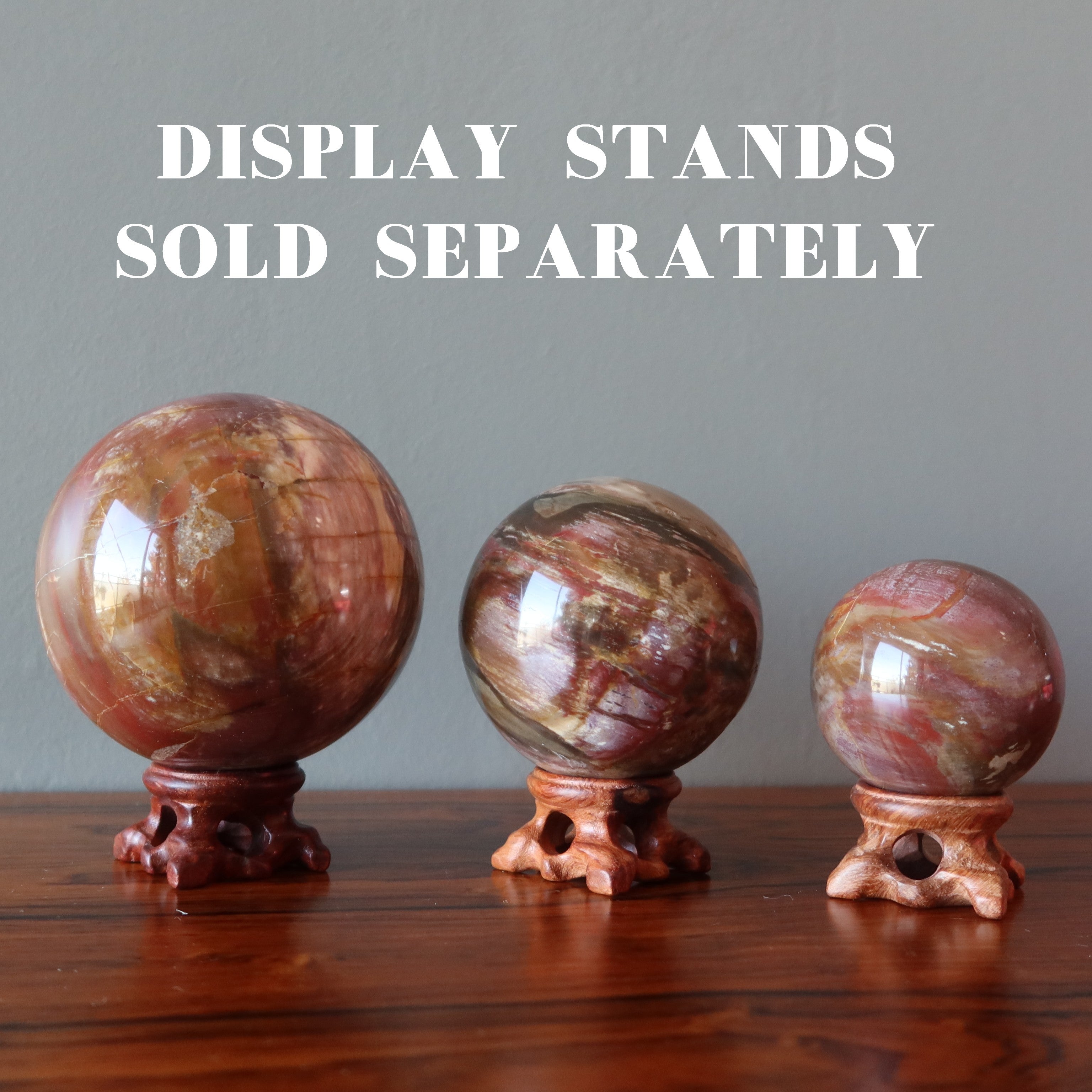 Petrified Wood Sphere Swirl of Color Earth Fossil Crystal Ball