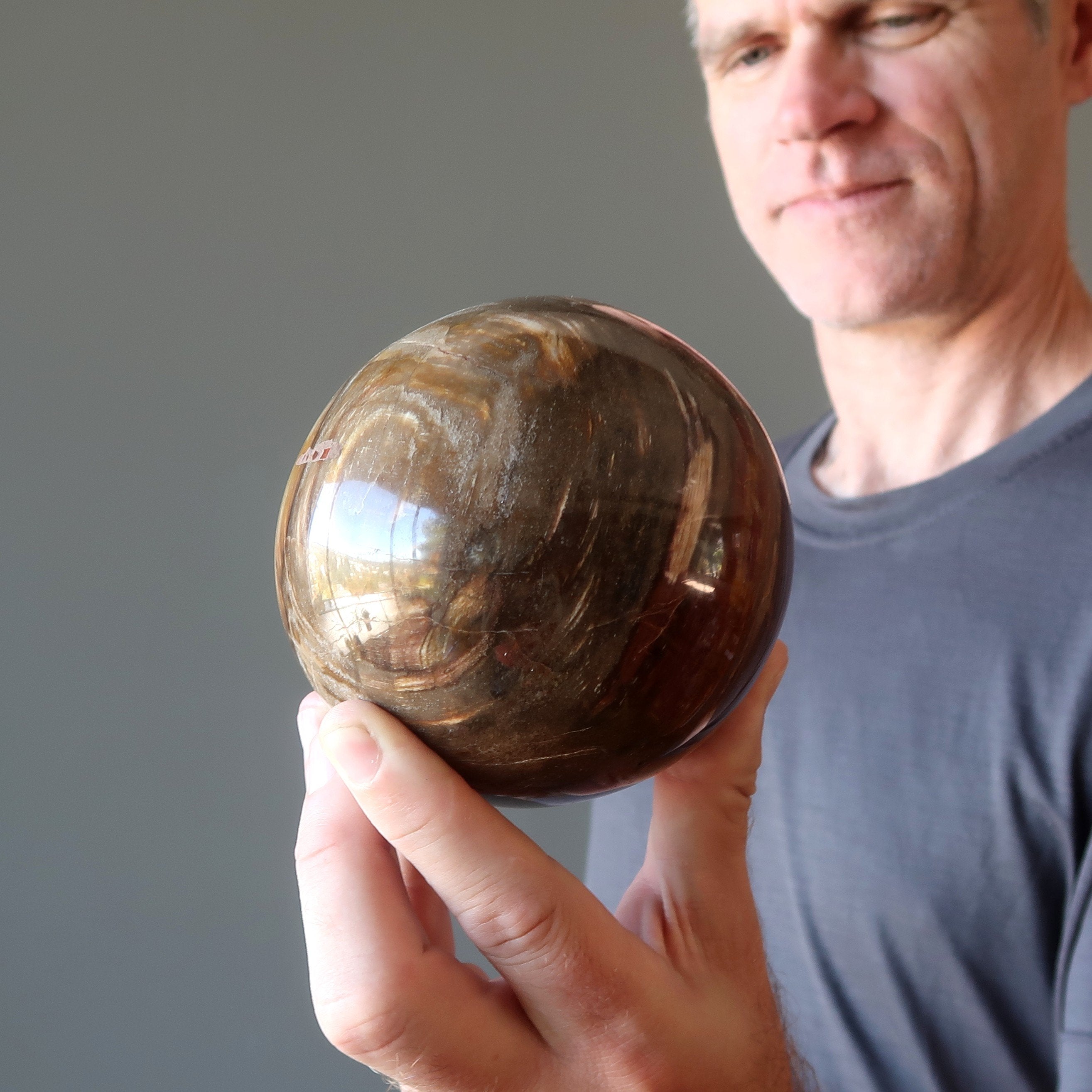 Petrified Wood Sphere Swirl of Color Earth Fossil Crystal Ball