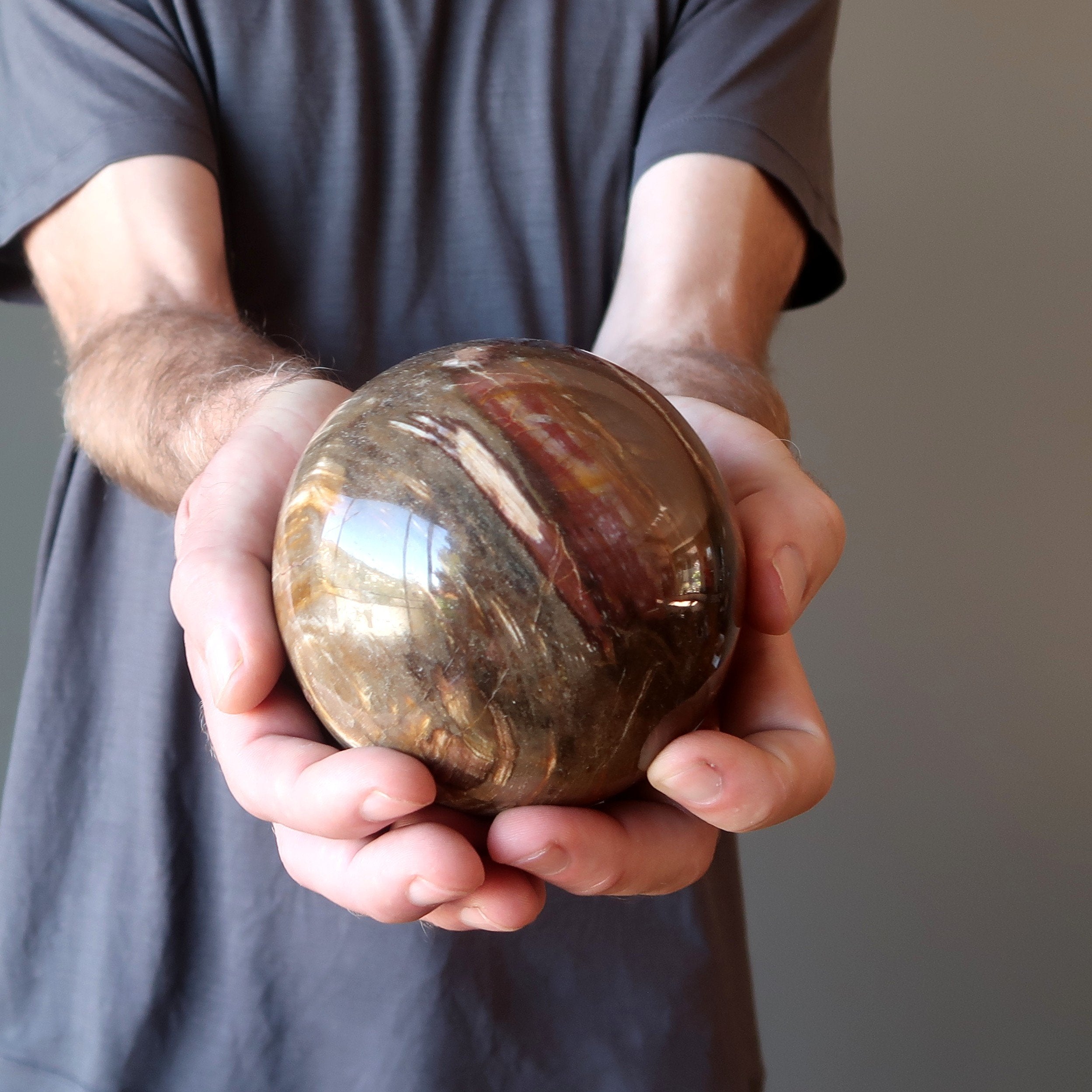 Petrified Wood Sphere Swirl of Color Earth Fossil Crystal Ball