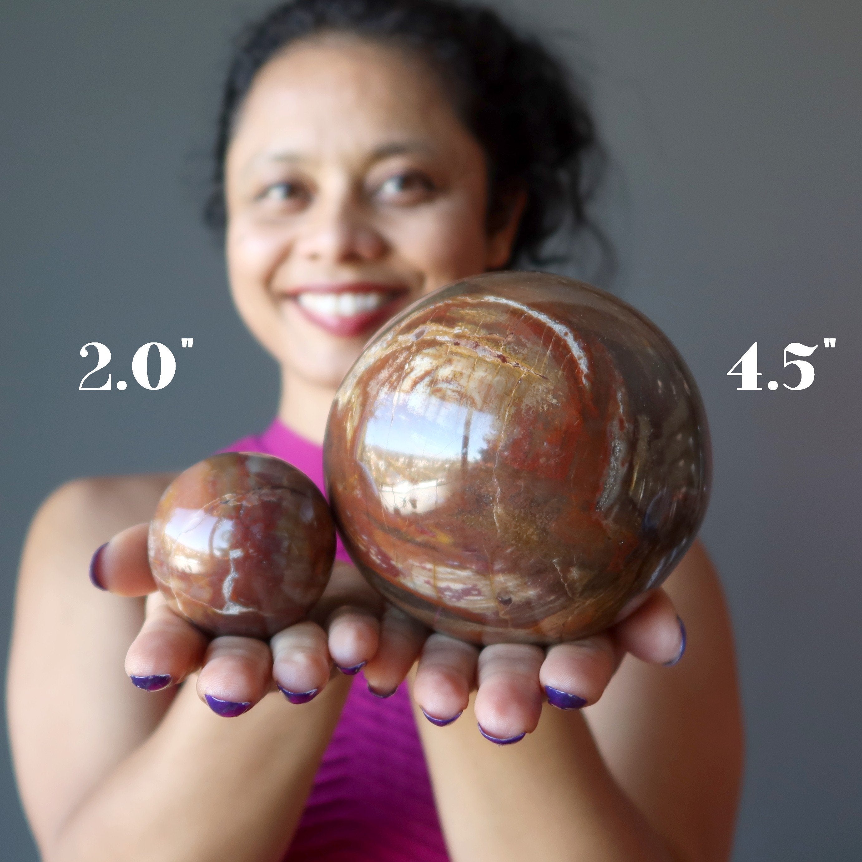 Petrified Wood Sphere Swirl of Color Earth Fossil Crystal Ball