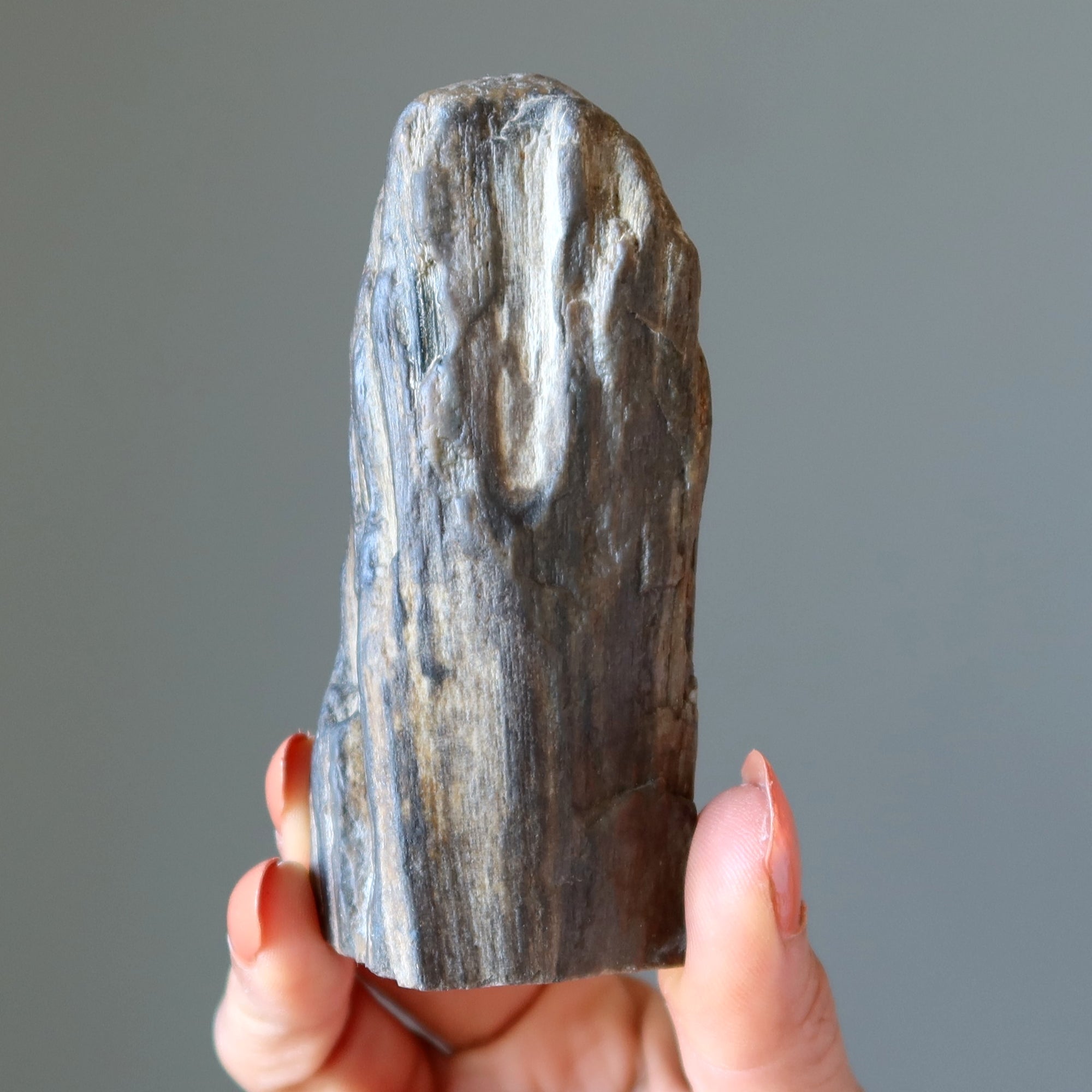 Versteinertes Holz Rohkristall Dekostein Natur in Meinem Zuhause