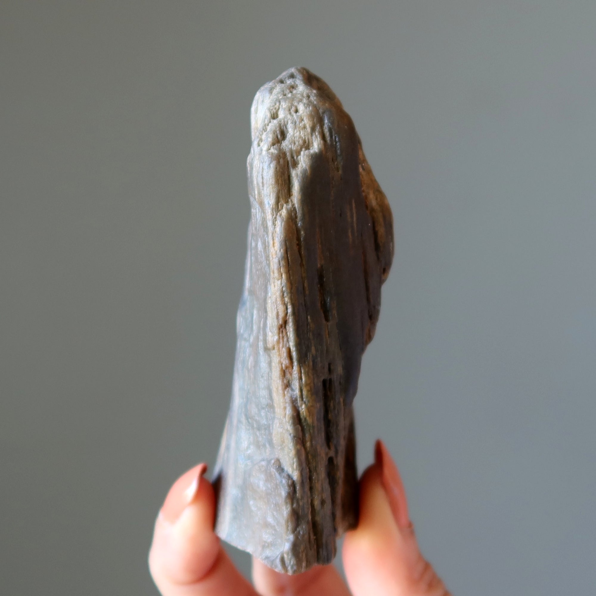 Versteinertes Holz Rohkristall Dekostein Natur in Meinem Zuhause