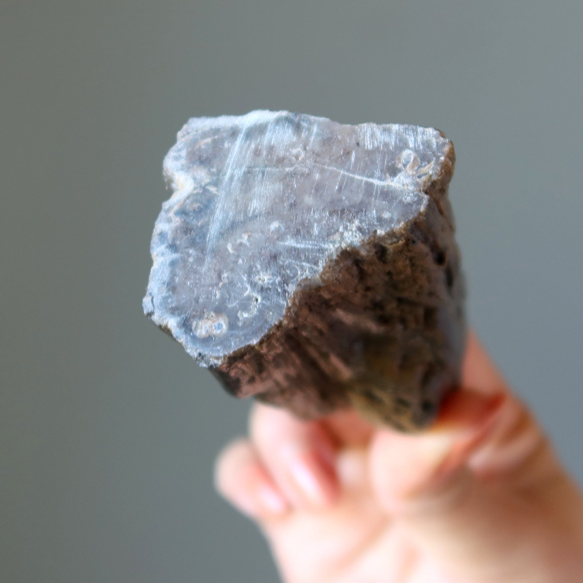 Versteinertes Holz Rohkristall Dekostein Natur in Meinem Zuhause