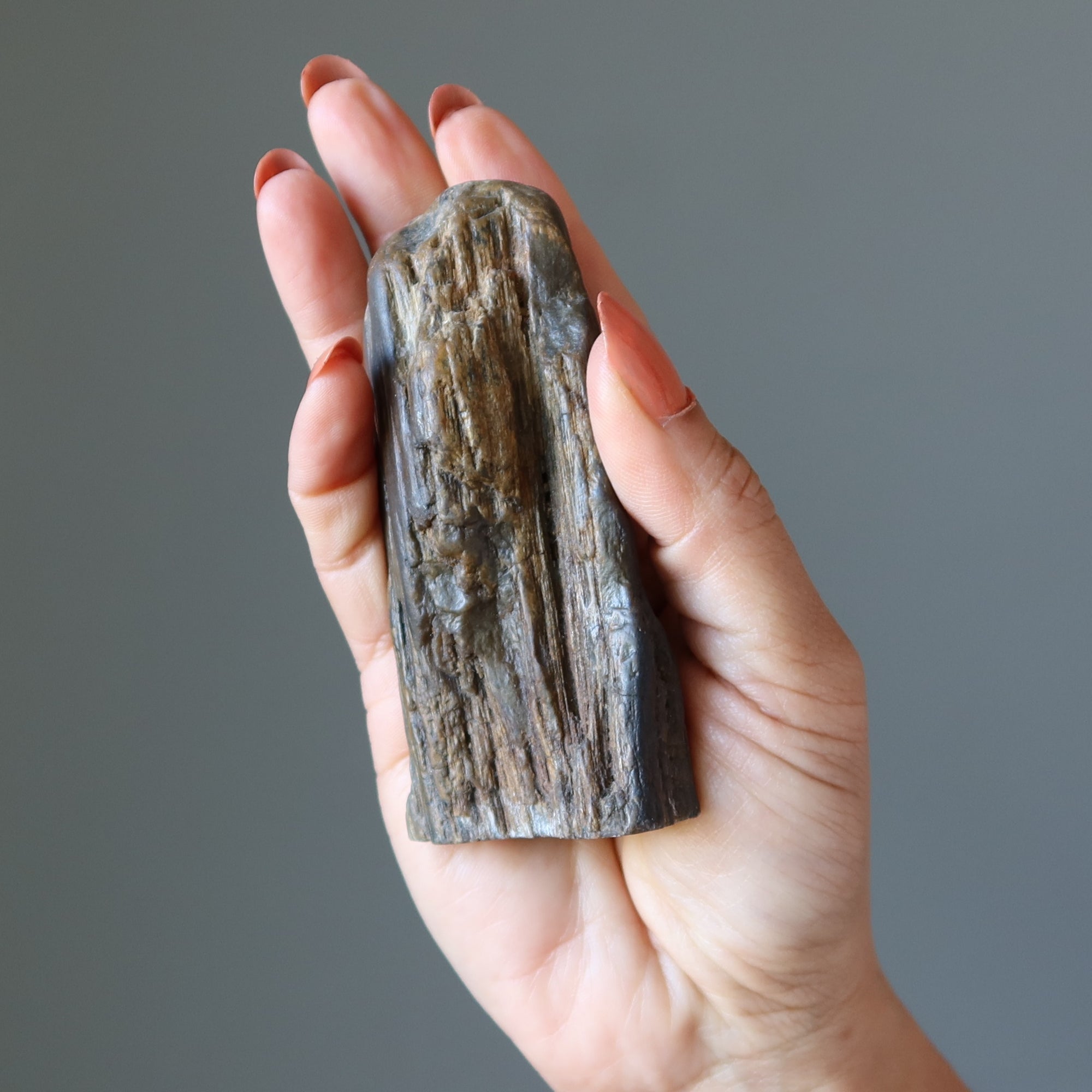 Versteinertes Holz Rohkristall Dekostein Natur in Meinem Zuhause