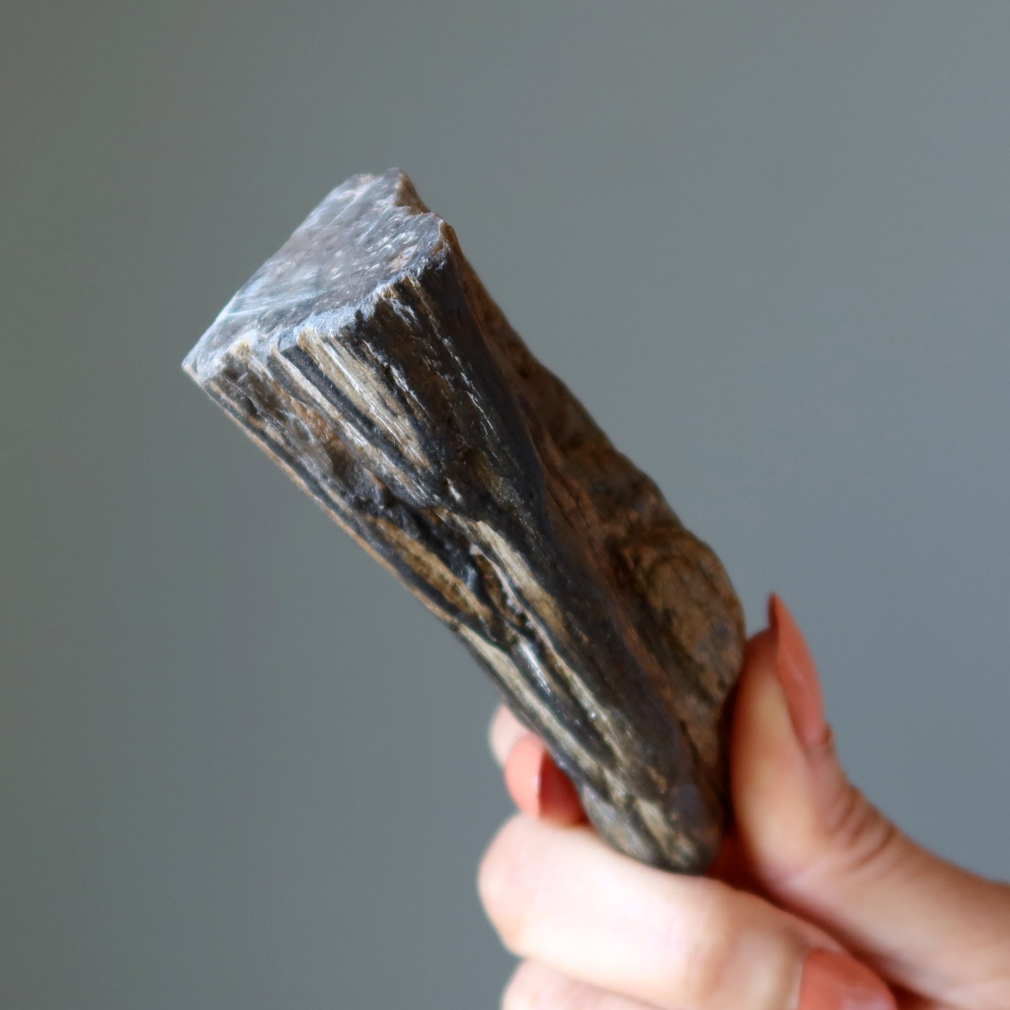Versteinertes Holz Rohkristall Dekostein Natur in Meinem Zuhause