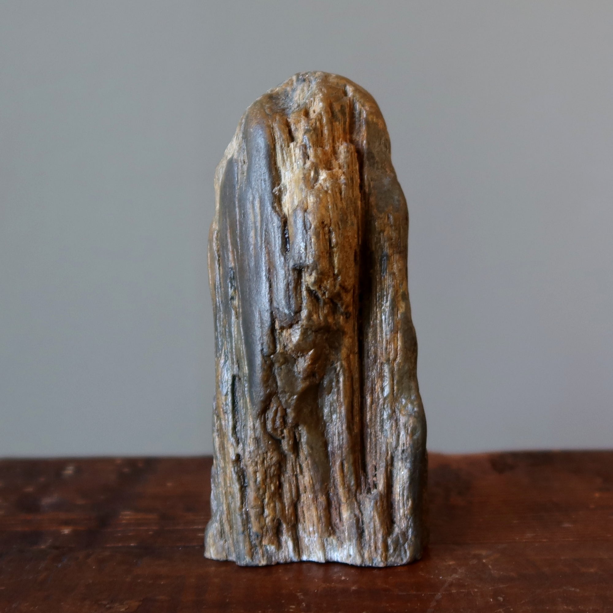 Versteinertes Holz Rohkristall Dekostein Natur in Meinem Zuhause