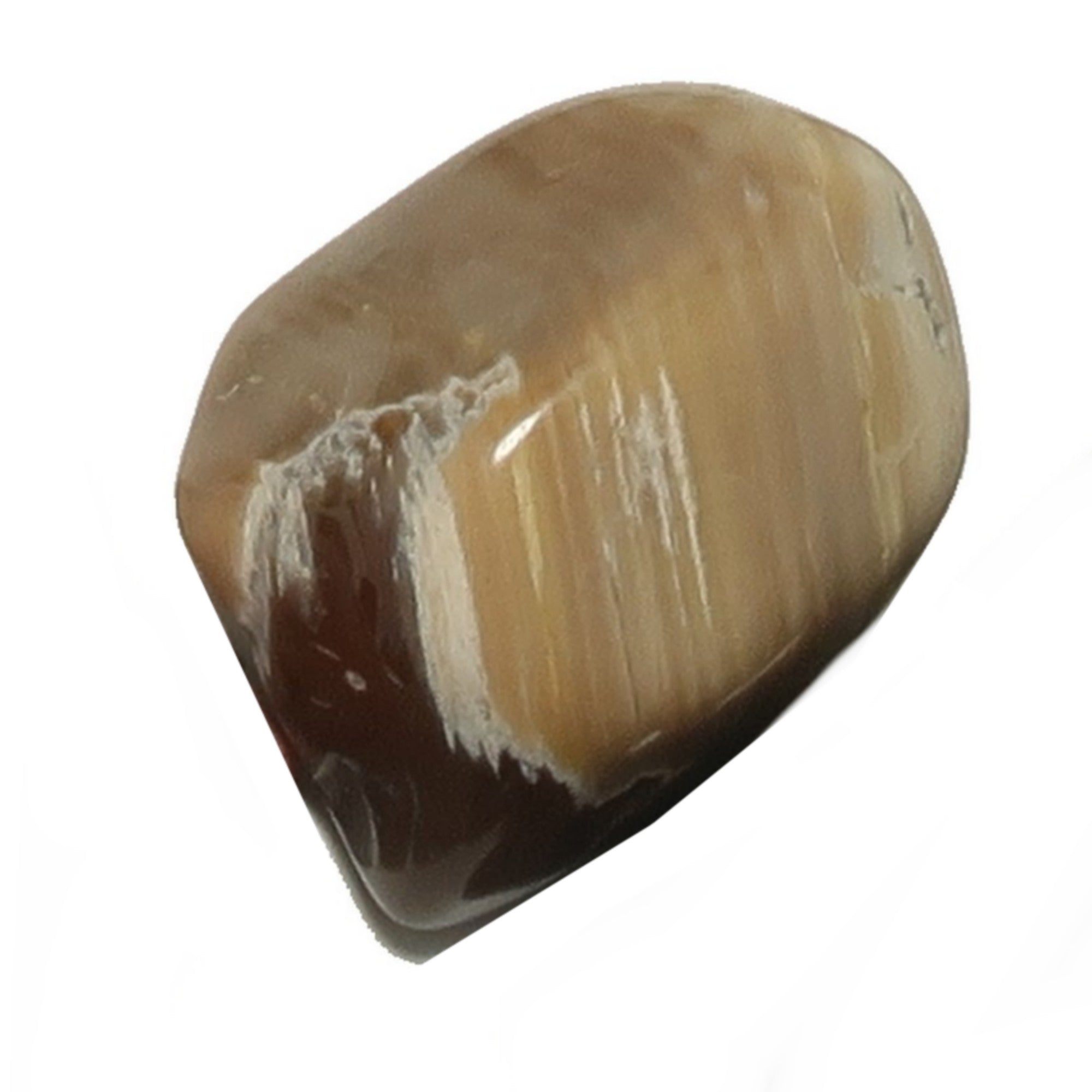 Petrified Wood Tumbled Stone Self-Care Nature