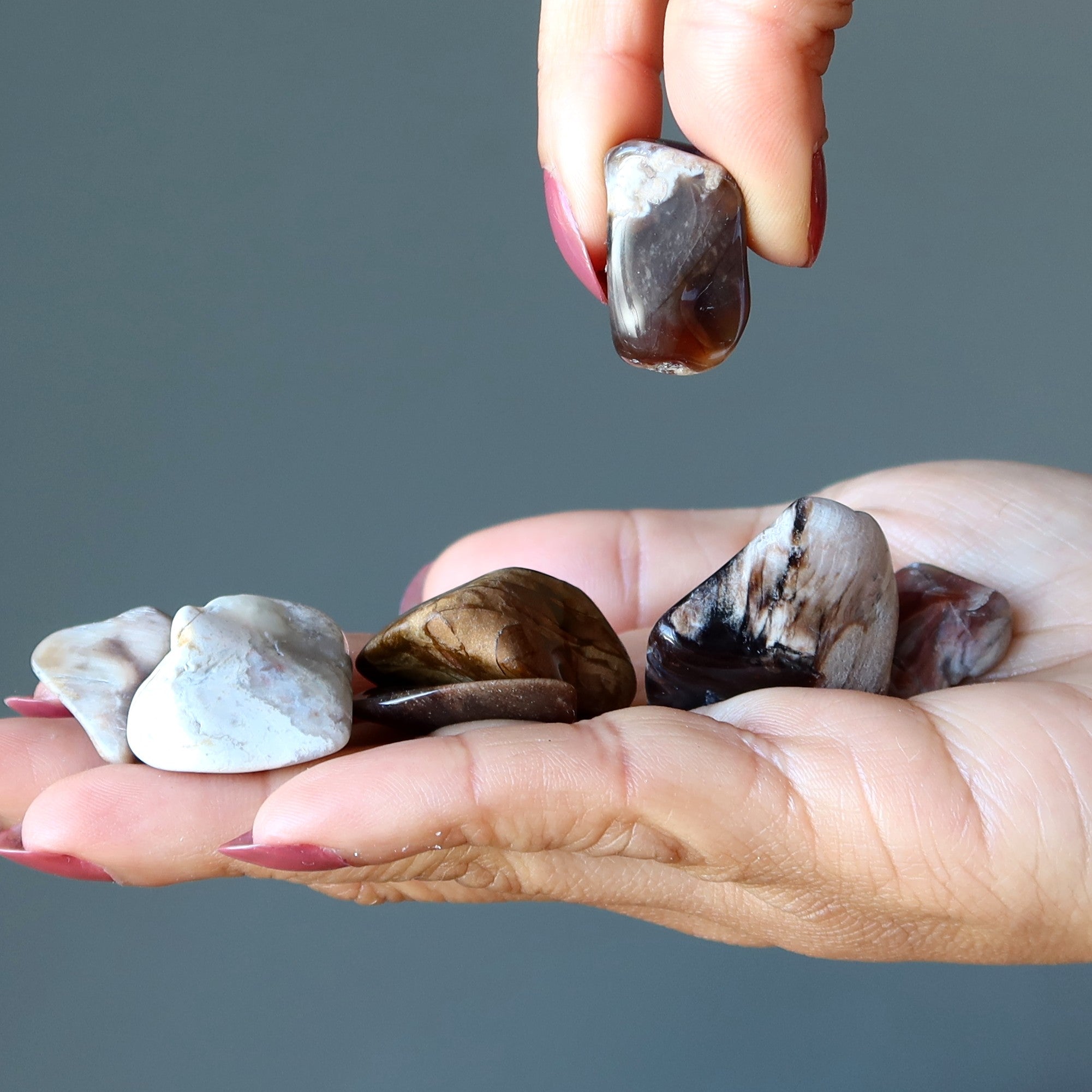 Petrified Wood Tumbled Stone Self-Care Nature