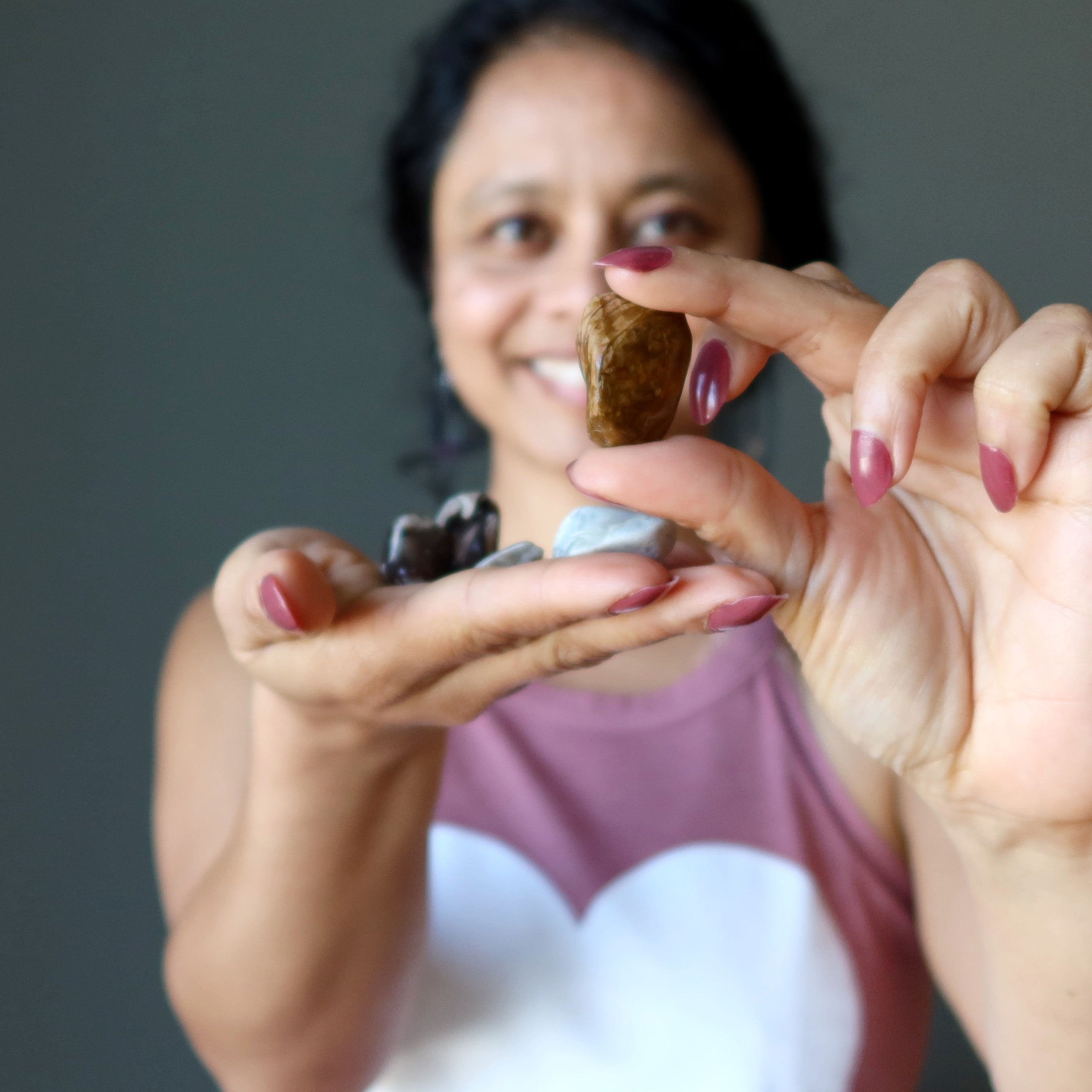 Petrified Wood Tumbled Stone Self-Care Nature