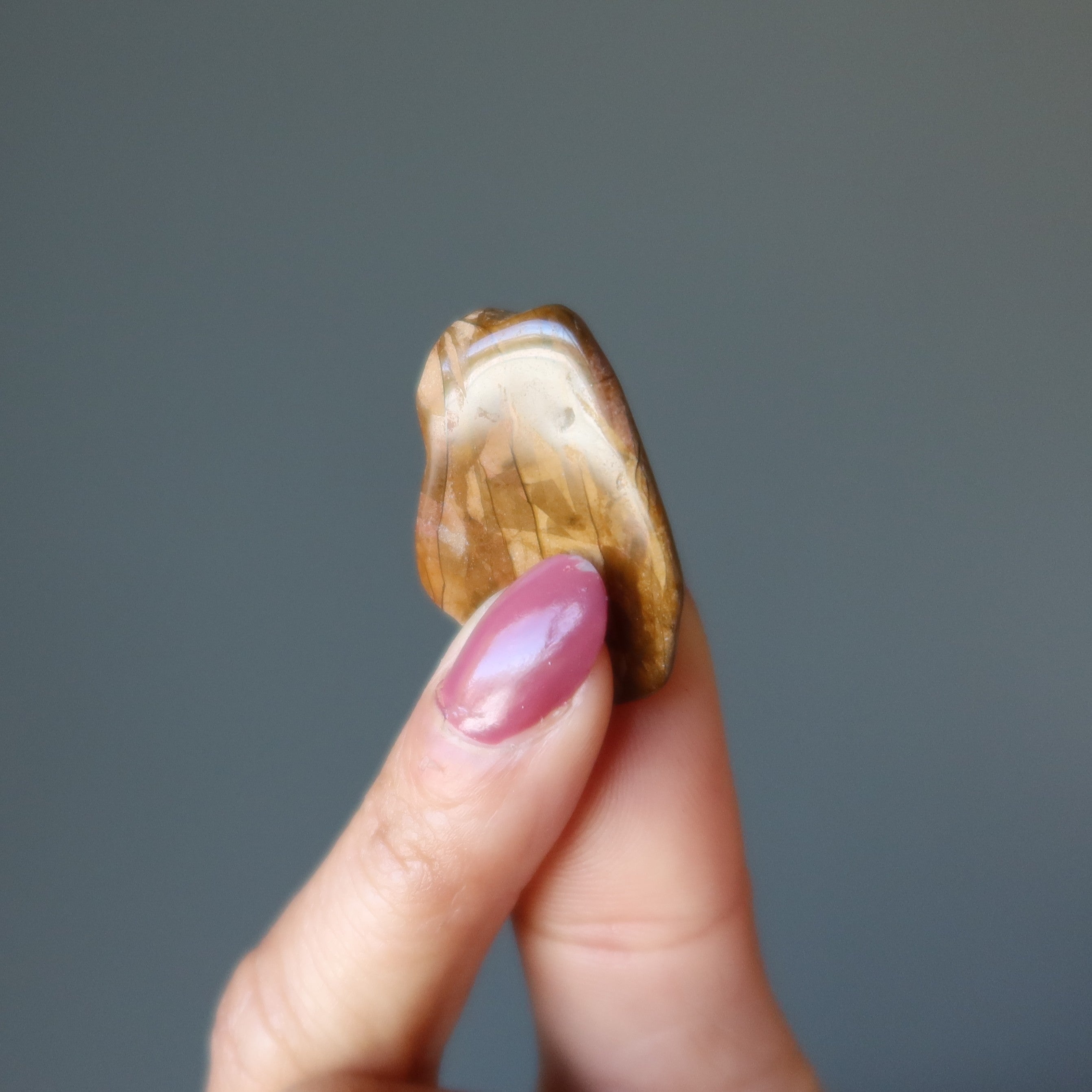 Petrified Wood Tumbled Stone Self-Care Nature