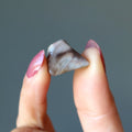 Petrified Wood Tumbled Stone Self-Care Nature