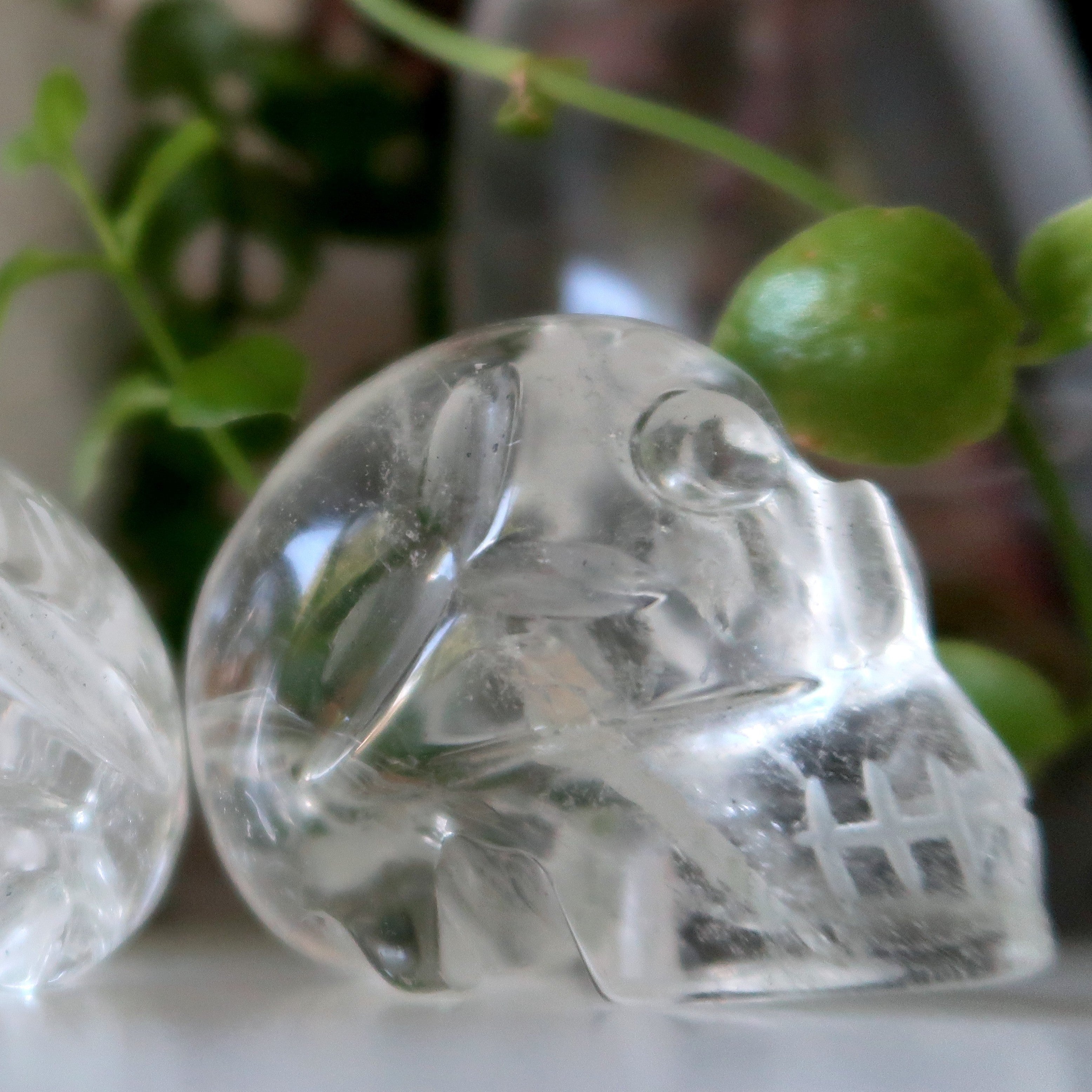 Crâne en quartz clair Secrets Grand au-delà Cristal
